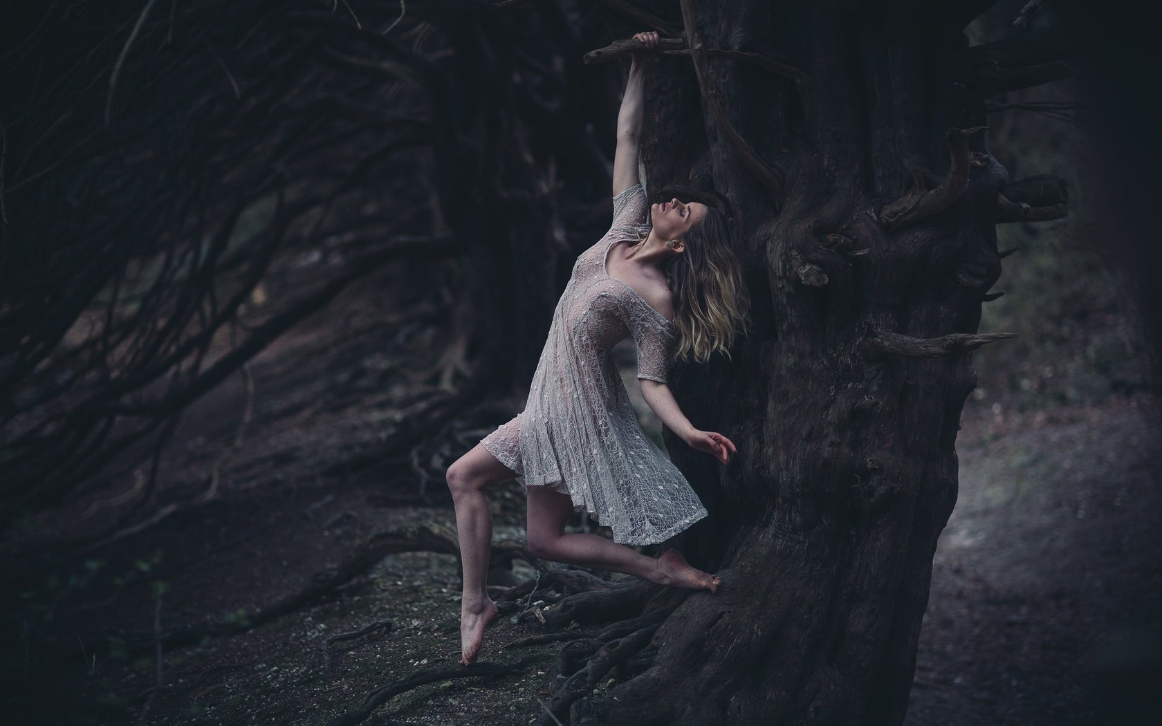 Обои дерево, девушка, платье, висит, tree, girl, dress, hanging разрешение 2048x1365 Загрузить