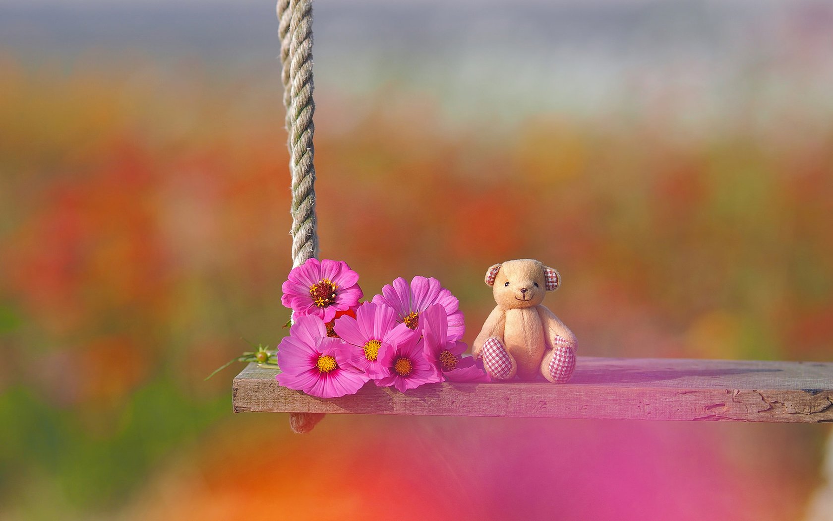 Обои цветы, настроение, игрушка, качели, медвежонок, боке, космея, плюшевый мишка, flowers, mood, toy, swing, bear, bokeh, kosmeya, teddy bear разрешение 1920x1200 Загрузить