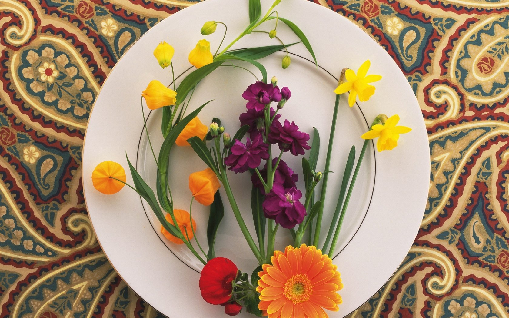 Обои цветы, узор, нарциссы, тарелка, ноготки, композиция, турецкий огурец, flowers, pattern, daffodils, plate, marigolds, composition, turkish cucumber разрешение 2560x2048 Загрузить