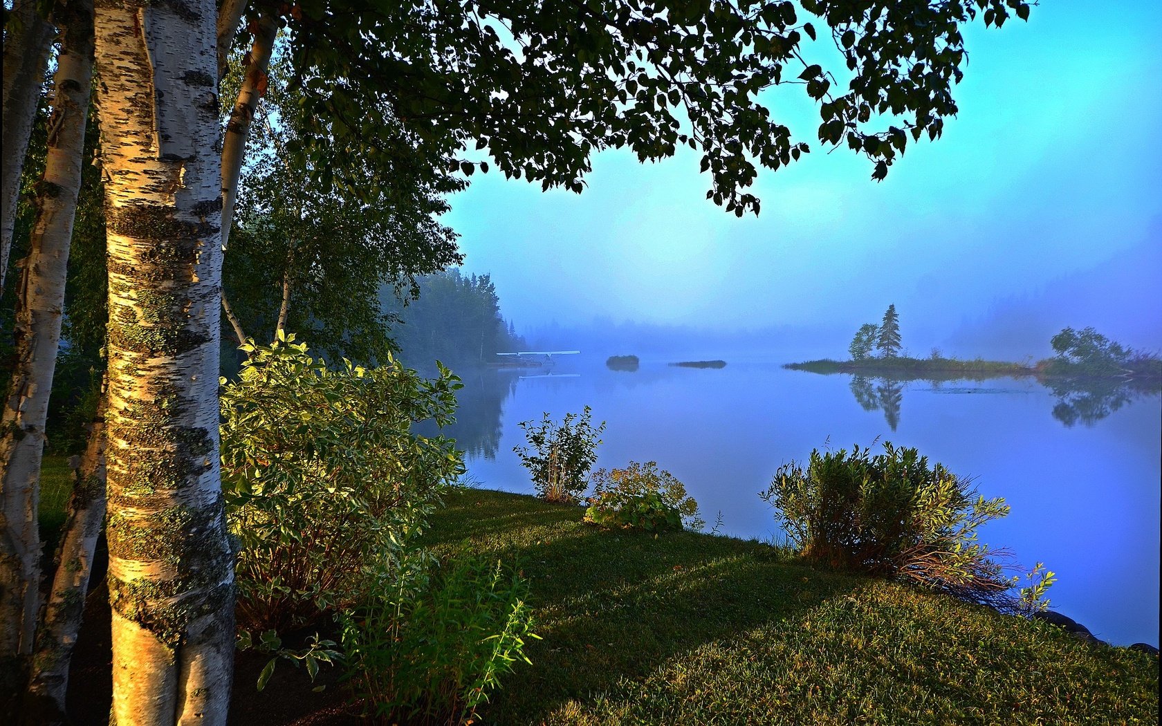 Обои трава, береза, река, берег, утро, туман, пляж, кусты, рассвет, grass, birch, river, shore, morning, fog, beach, the bushes, dawn разрешение 1920x1261 Загрузить