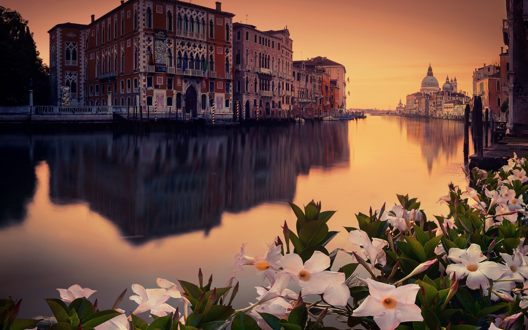 Обои цветы, город, венеция, venecia, flowers, the city, venice разрешение 2112x1188 Загрузить