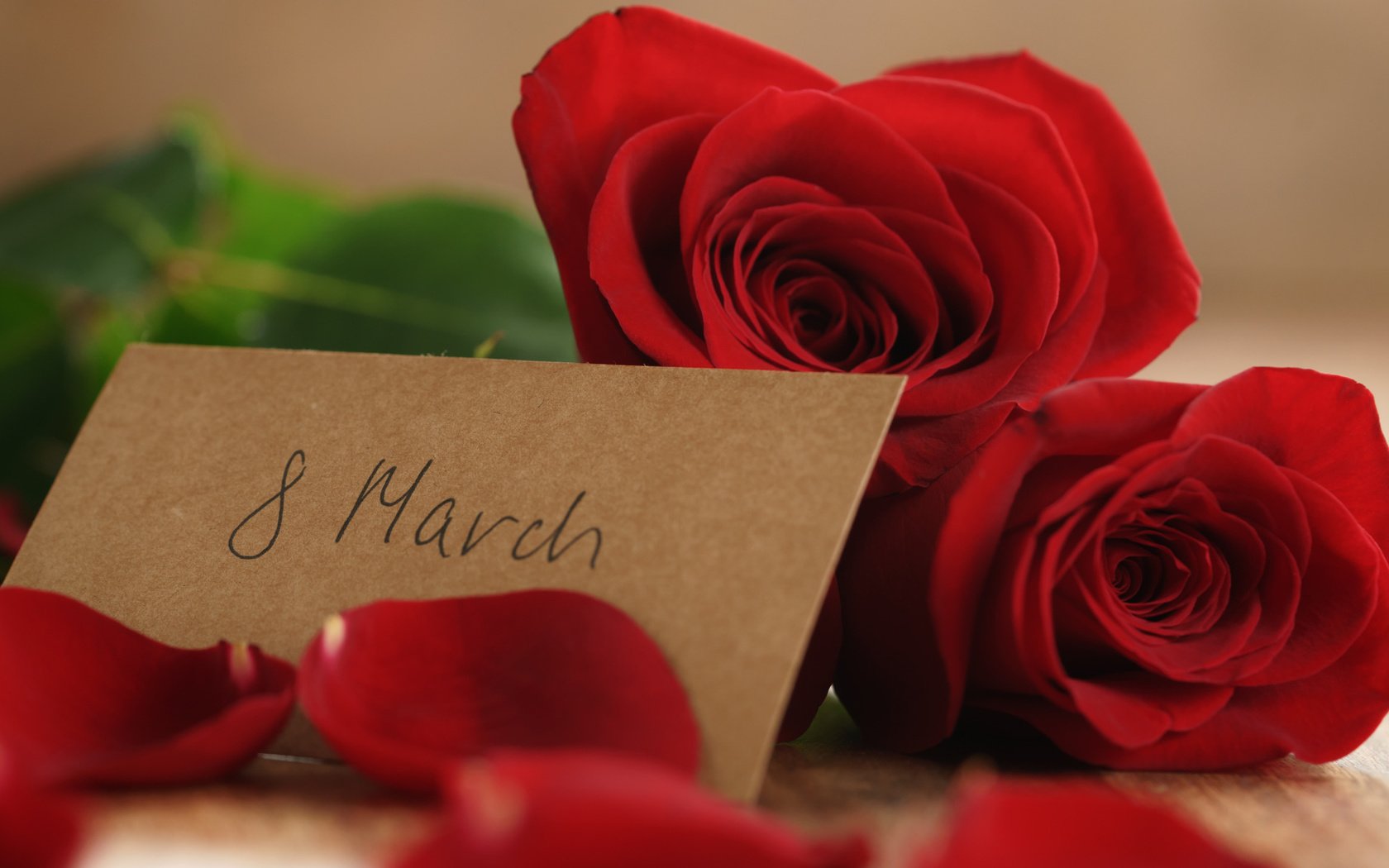 Обои лепестки, букет, подарок, романтик, 8 марта, краcный, роз, красные розы, petals, bouquet, gift, romantic, march 8, red, roses, red roses разрешение 2112x1188 Загрузить