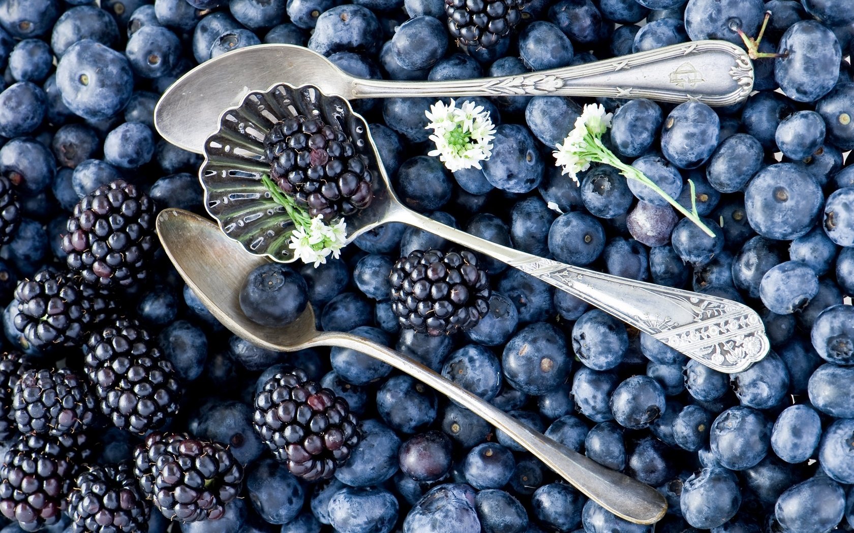 Обои черника, ежевика, blueberries, blackberry разрешение 2000x1329 Загрузить