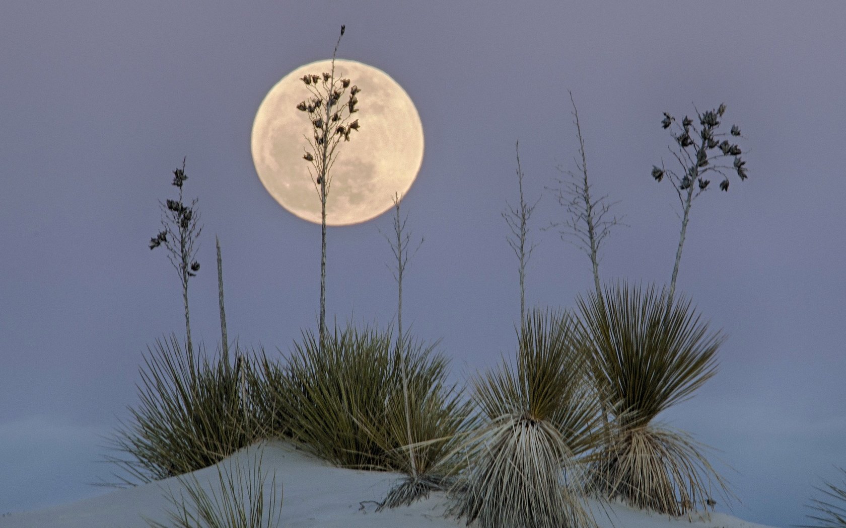 Обои пустыня, луна, сша, нью-мексико, белый песок, white sands national monume, desert, the moon, usa, new mexico, white sand разрешение 2047x1497 Загрузить