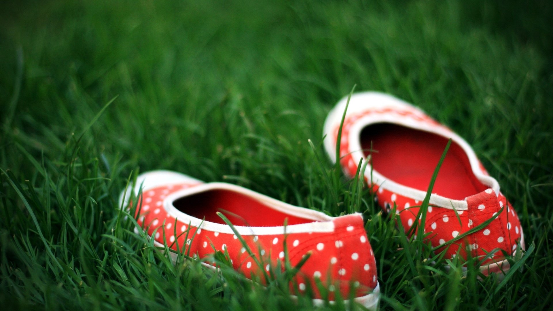 Обои трава, зелёный, обувь, горошек, grass, green, shoes, polka dot разрешение 2560x1600 Загрузить