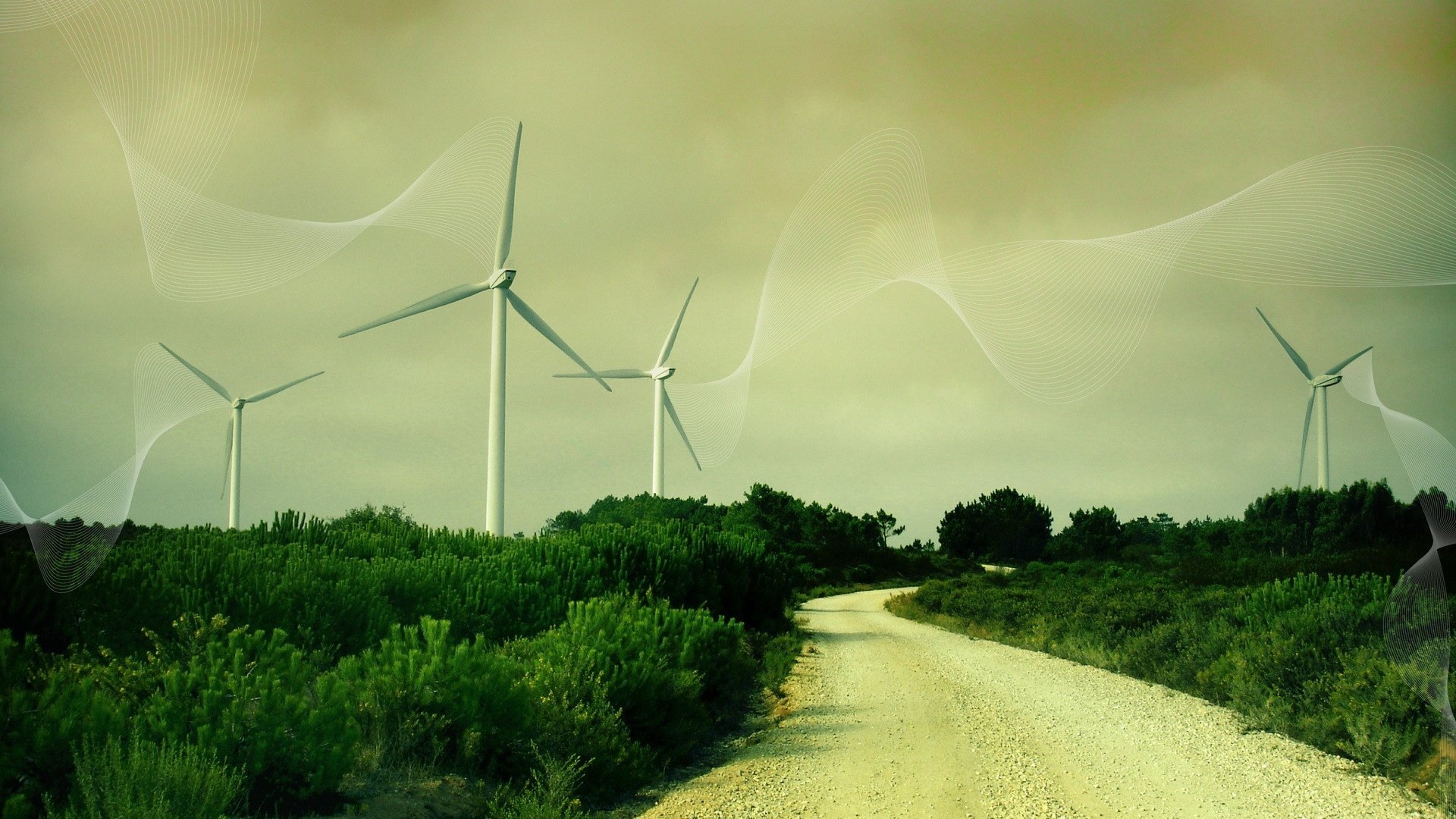 Обои дорога, трава, линии, ветряки, ветротурбины, road, grass, line, windmills, wind turbine разрешение 1920x1200 Загрузить