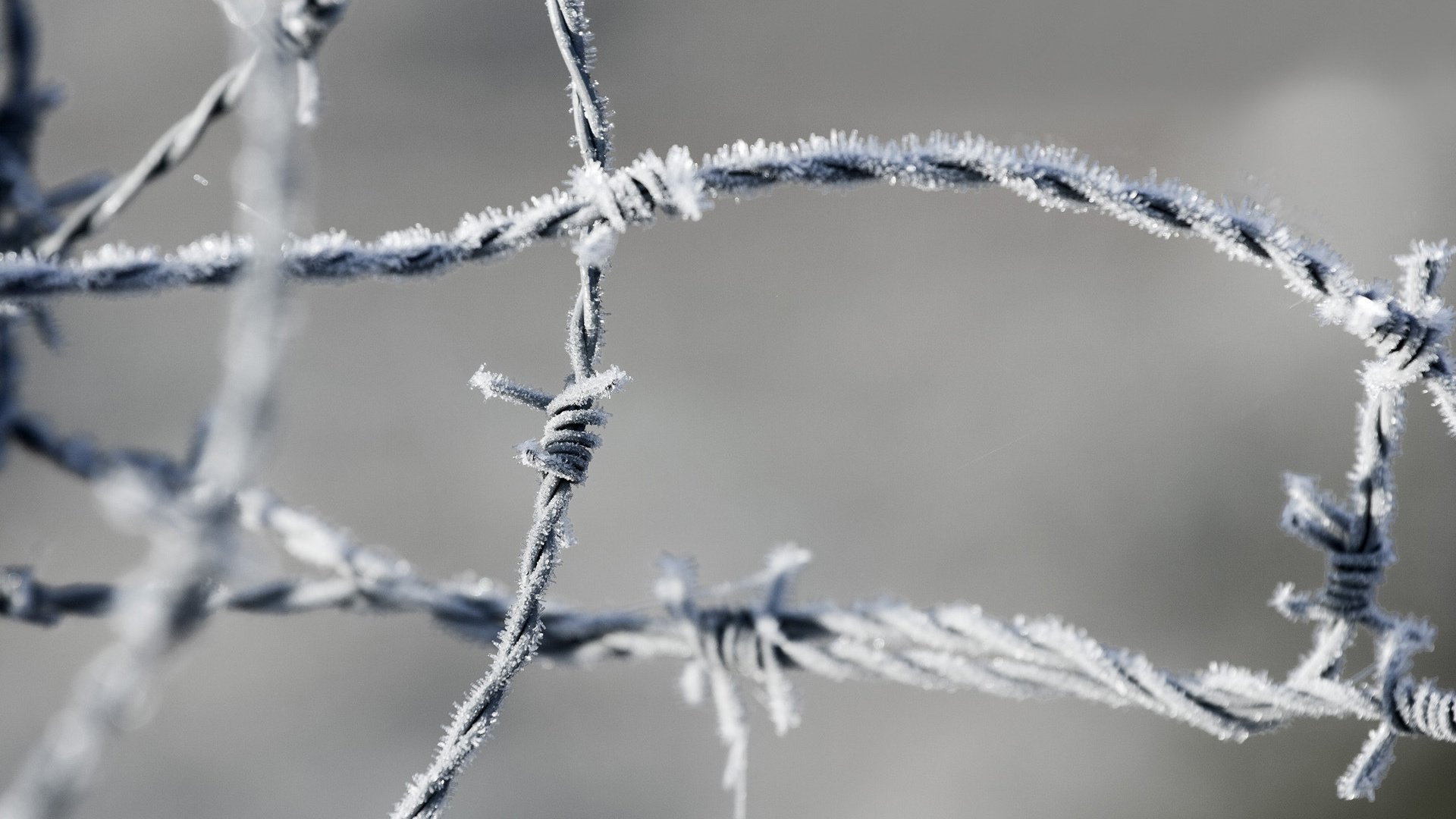 Обои мороз, проволока, иней, колючая проволока, колючая, зона(, frost, wire, barbed wire, barbed, area( разрешение 1920x1200 Загрузить