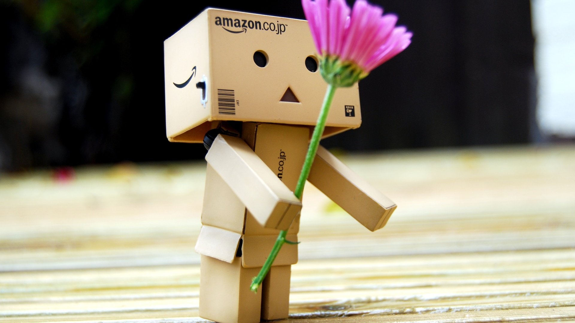 Обои цветок, робот, подарок, игрушечная, danboard, данбо, цветком, короб, flower, robot, gift, toy, danbo, box разрешение 3660x2369 Загрузить