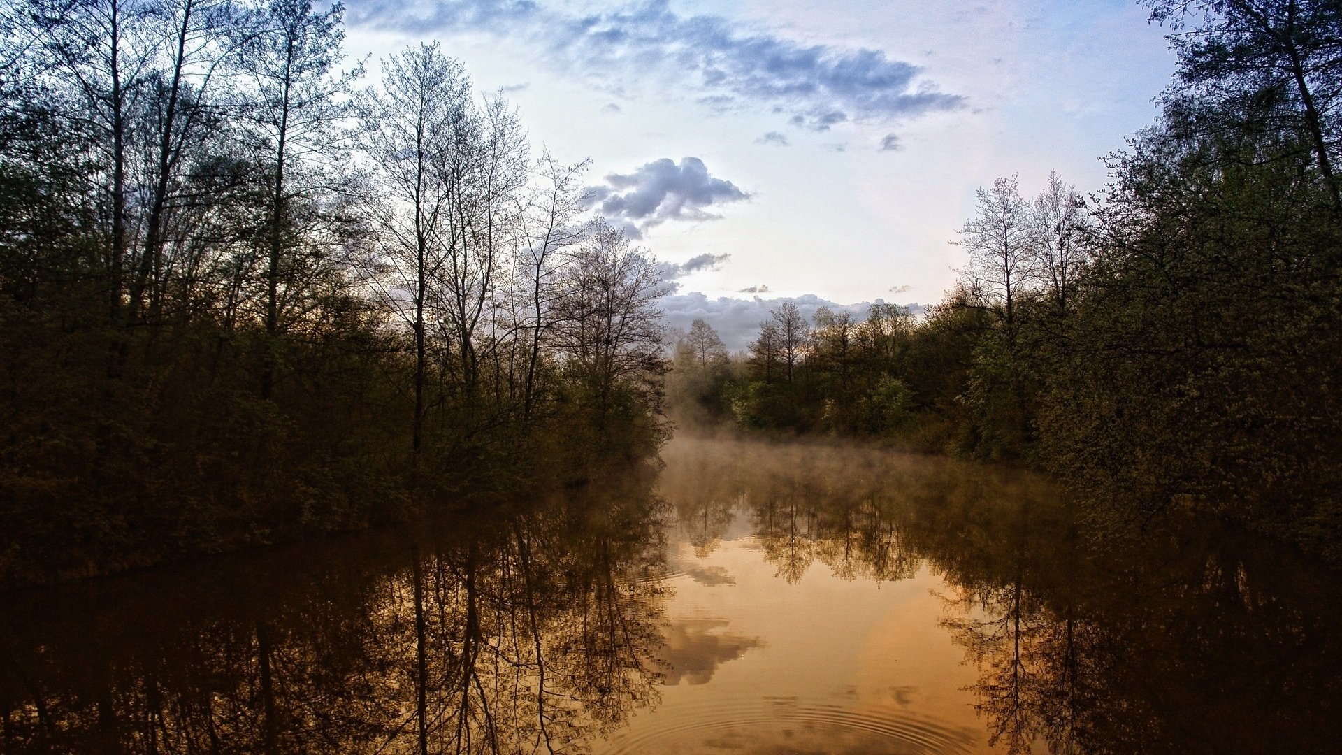 Обои деревья, дымка, вечер, река, природа, фото, вид, красота, леса, trees, haze, the evening, river, nature, photo, view, beauty, forest разрешение 1920x1200 Загрузить