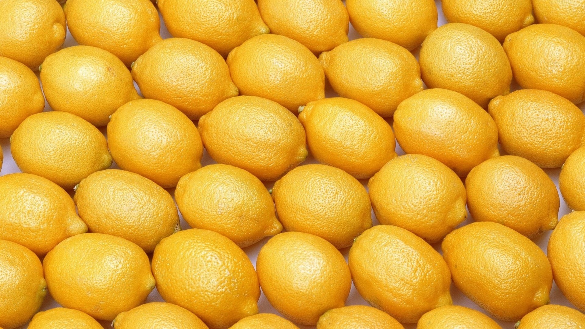 Обои фрукты, лимоны, цитрусы, цитрусовые, fruit, lemons, citrus разрешение 1920x1362 Загрузить