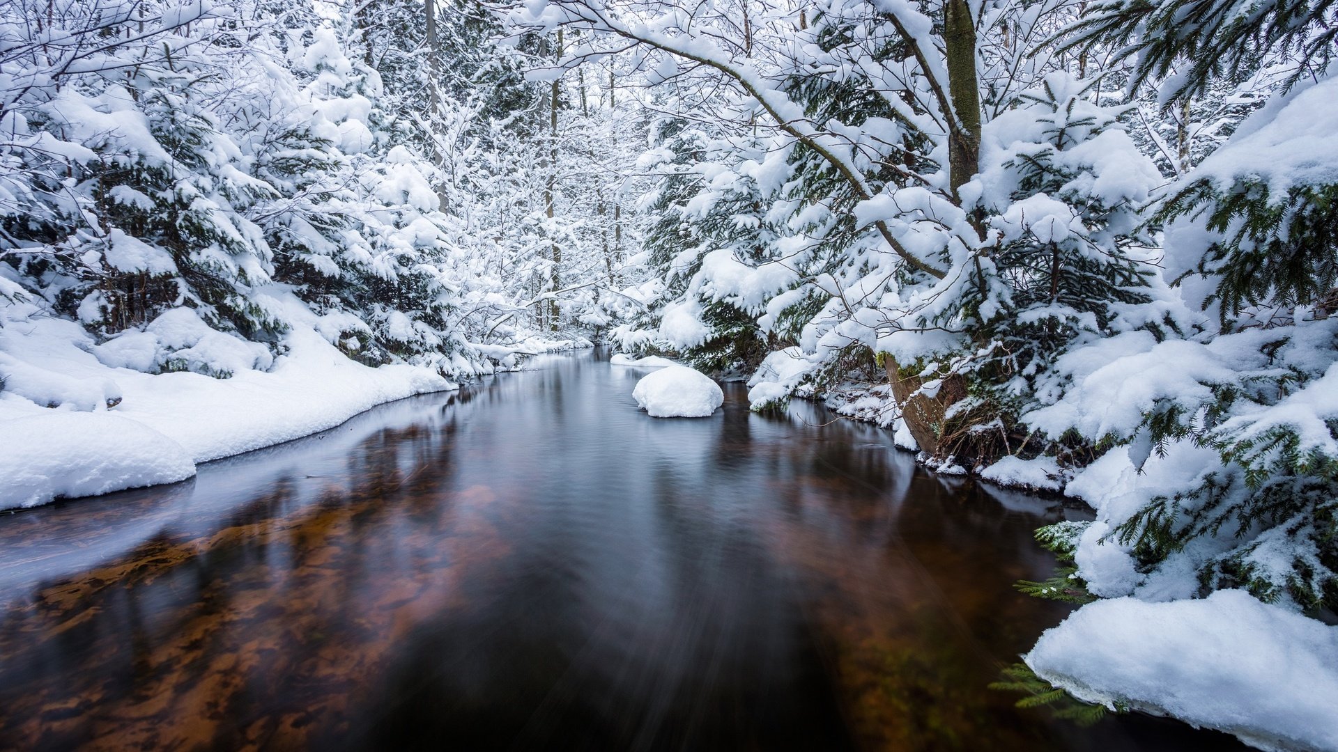 Обои деревья, река, снег, лес, зима, ели, trees, river, snow, forest, winter, ate разрешение 2048x1365 Загрузить