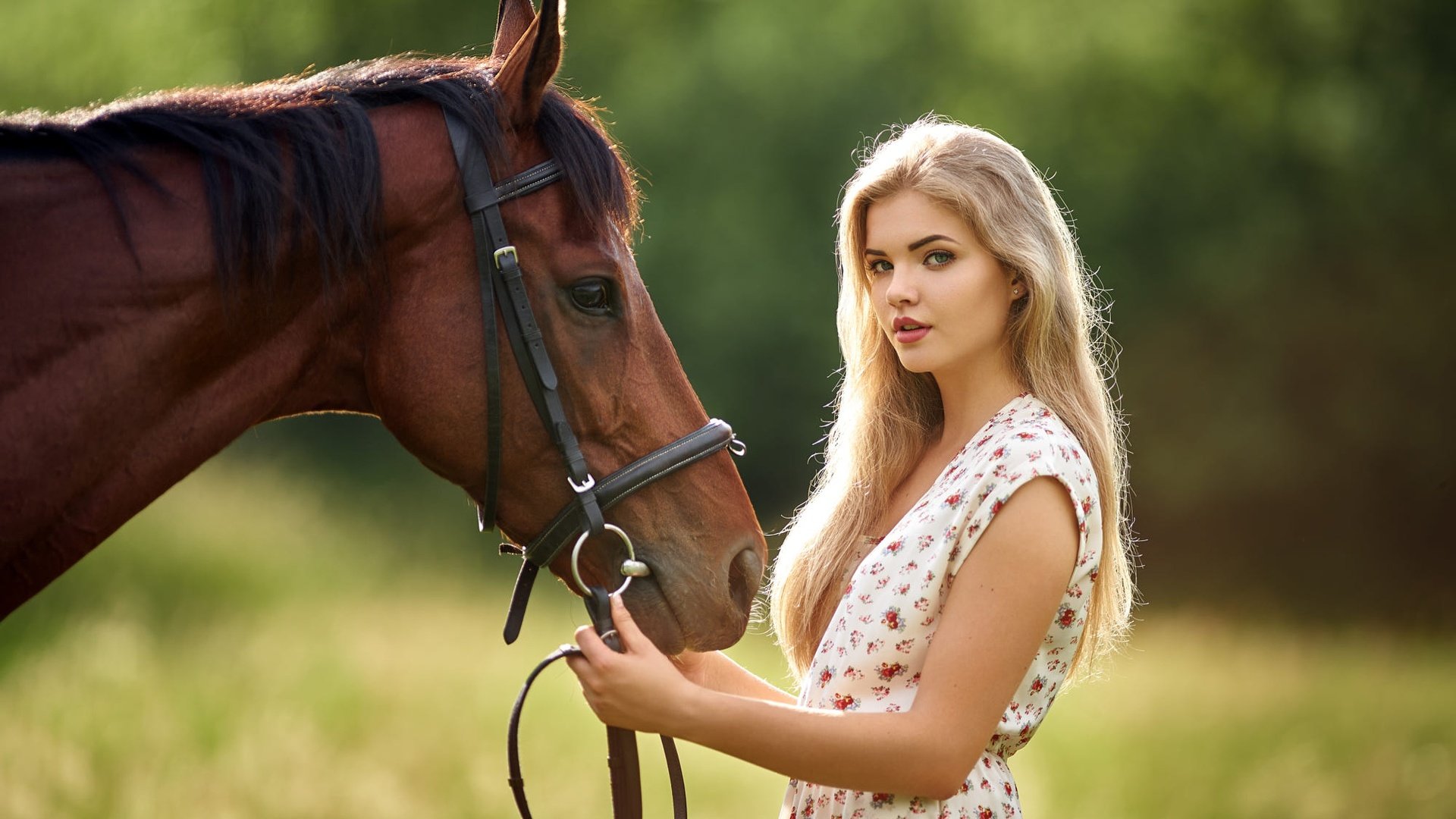 Обои лошадь, девушка, horse, girl разрешение 2000x1334 Загрузить