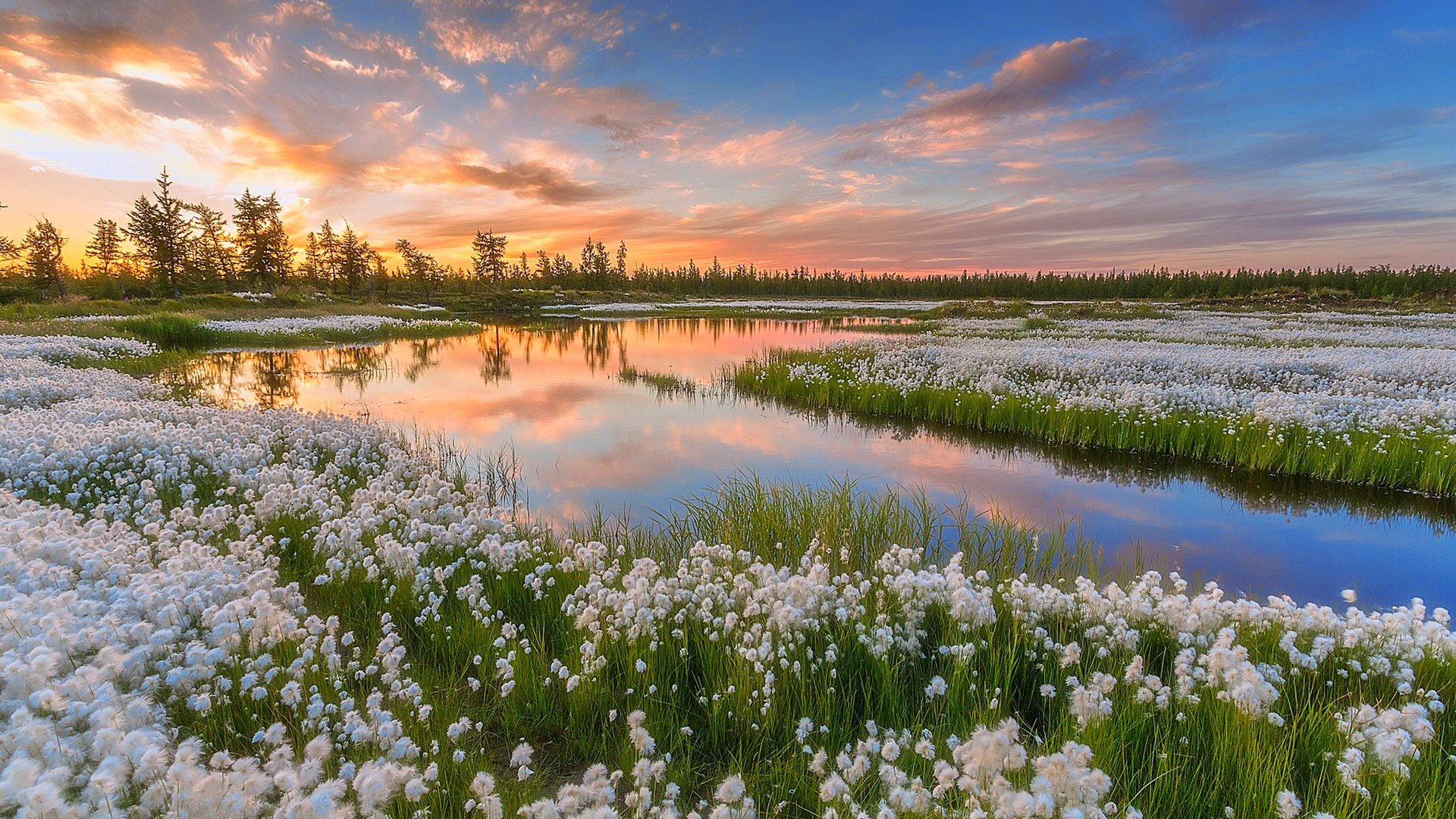 Обои небо, вода, озеро, природа, закат, россия, pavel evgrafov, пушица, ямал, yamal, the sky, water, lake, nature, sunset, russia, as cotton grass разрешение 1920x1200 Загрузить