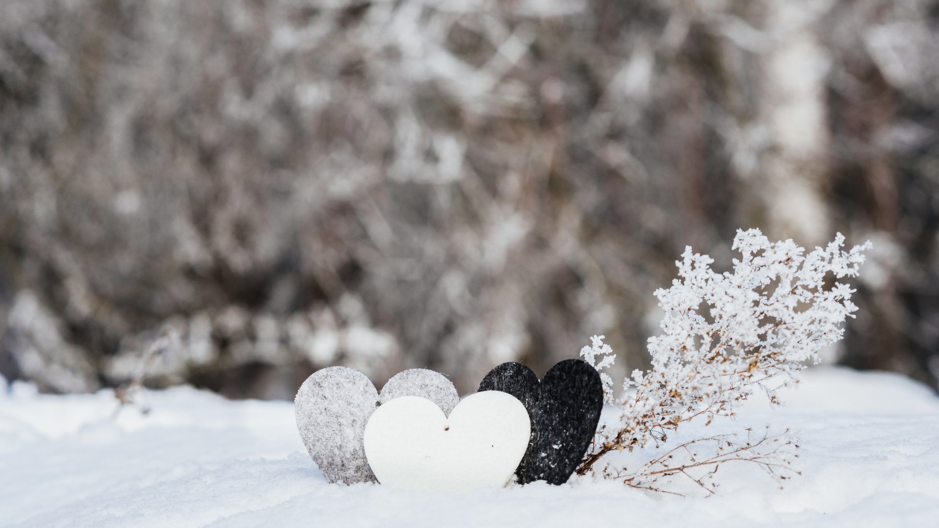 Обои снег, зима, сердце, любовь, романтик, валентинка, snow, winter, heart, love, romantic, valentine разрешение 2112x1188 Загрузить