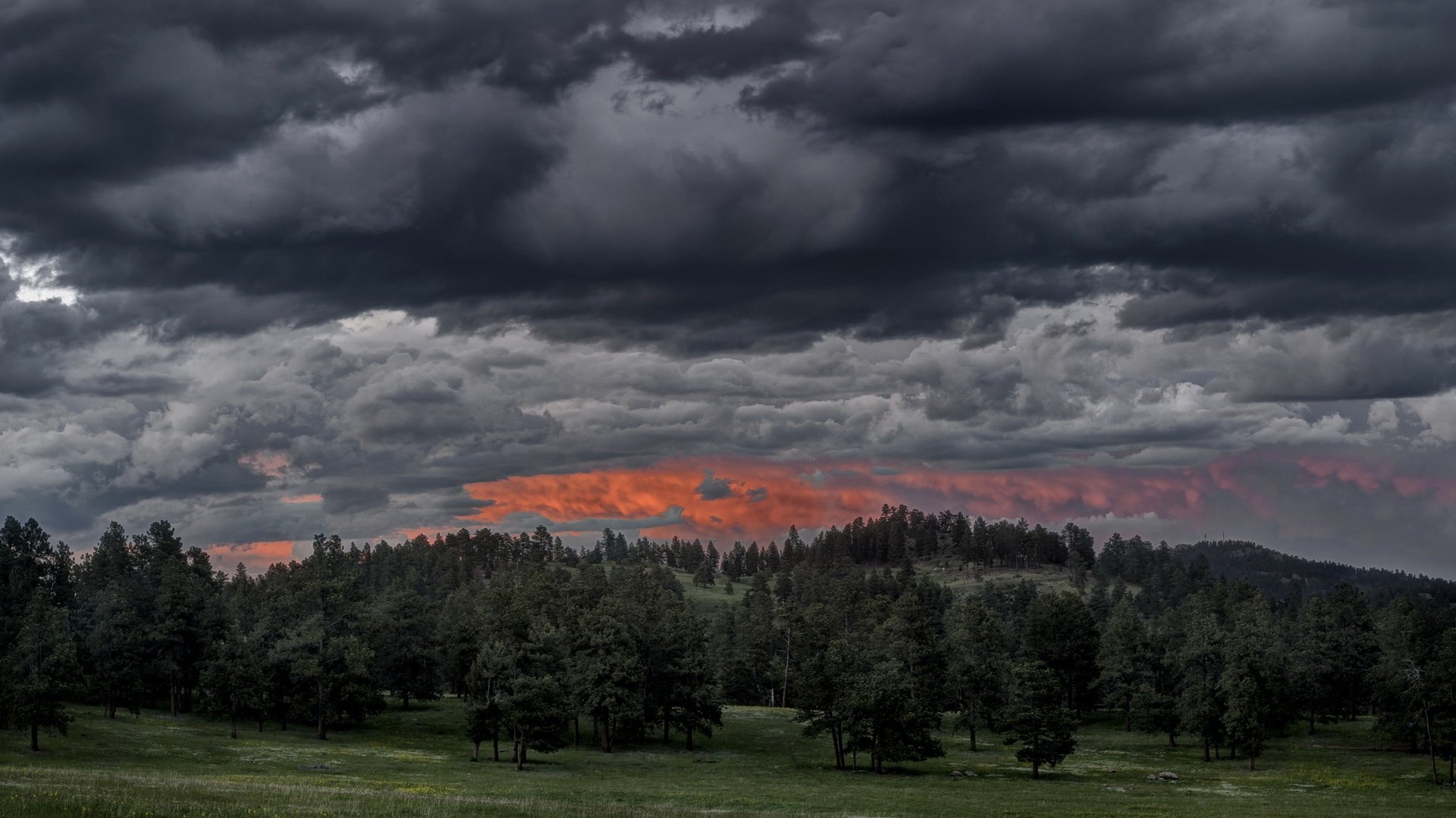 Обои облака, вечер, природа, лес, закат, clouds, the evening, nature, forest, sunset разрешение 2048x1365 Загрузить