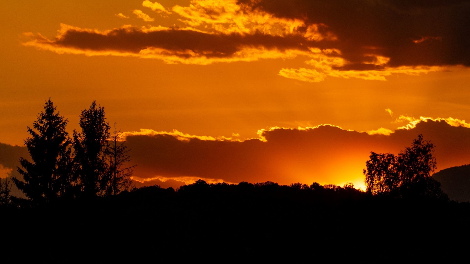 Обои небо, деревья, солнце, закат, силуэт, the sky, trees, the sun, sunset, silhouette разрешение 3840x2160 Загрузить