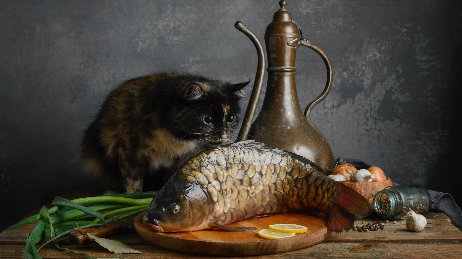 Обои кот, кошка, рыба, карп, cat, fish, carp разрешение 2500x1905 Загрузить