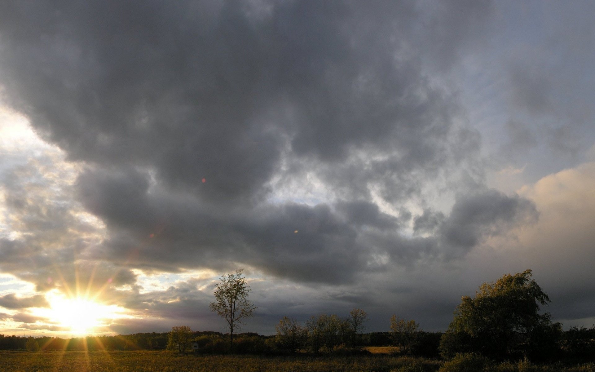 Обои небо, облака, деревья, солнце, the sky, clouds, trees, the sun разрешение 1920x1440 Загрузить