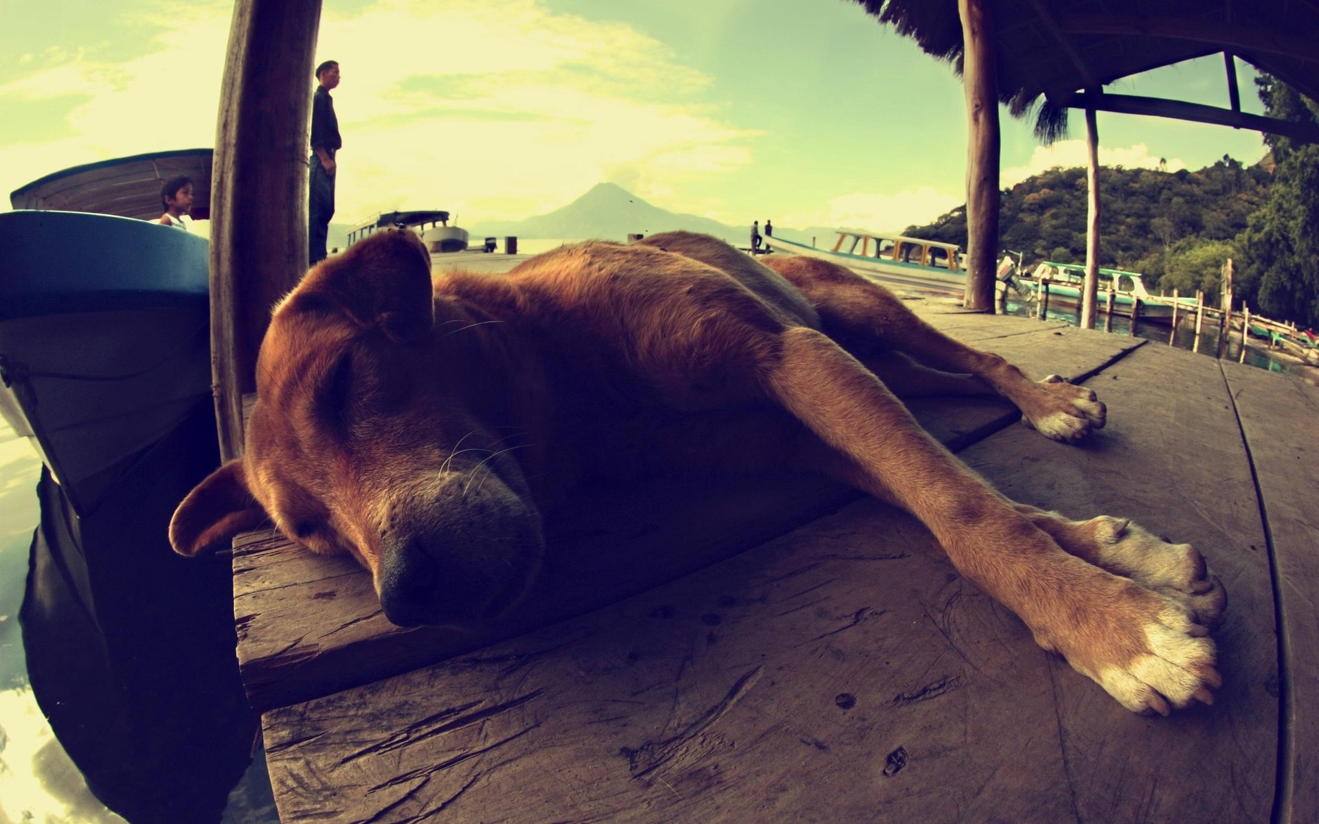 Обои пейзаж, люди, собака, лежит, спит, лодка, пес, гуатемала, landscape, people, dog, lies, sleeping, boat, guatemala разрешение 2991x1994 Загрузить