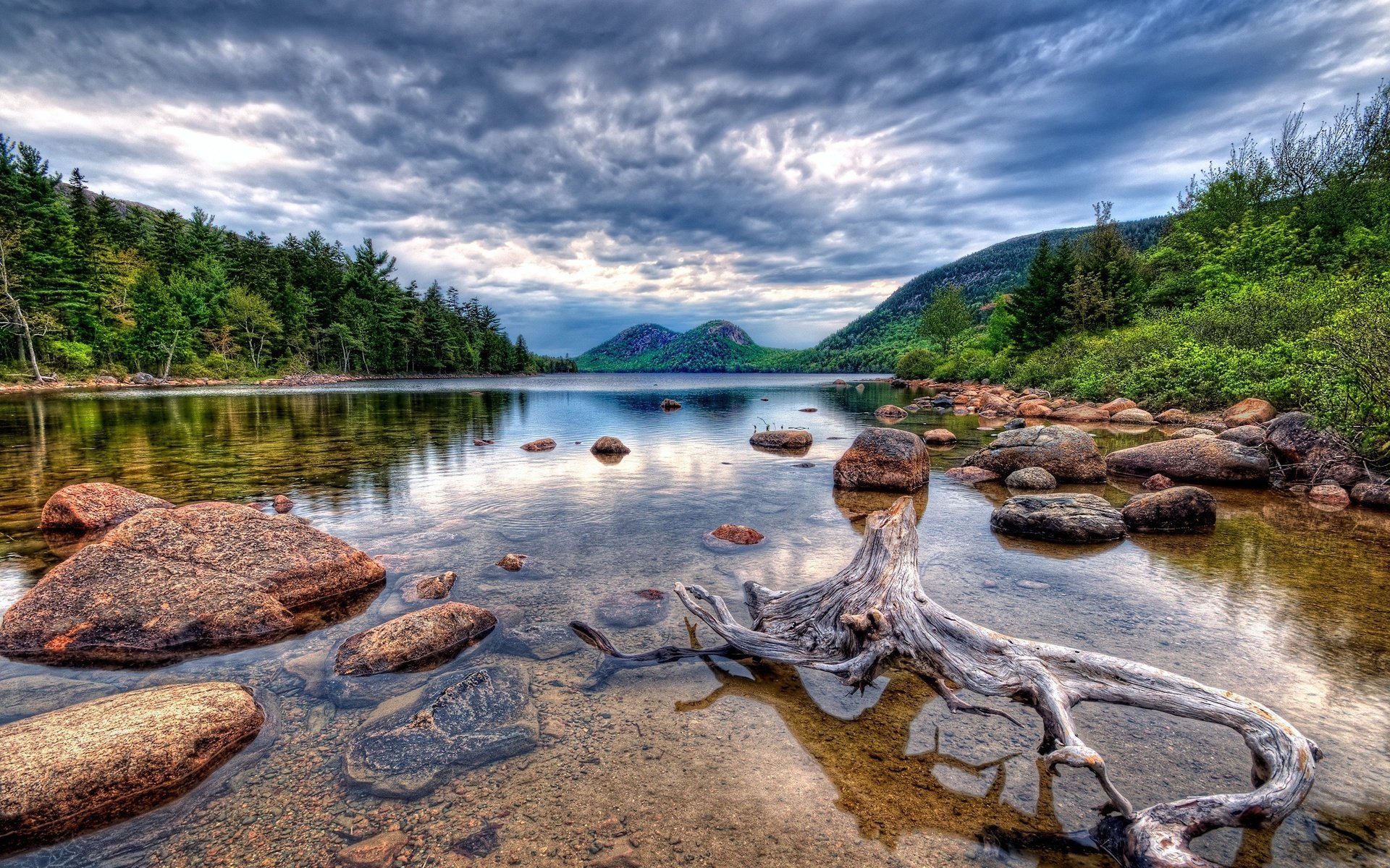 Обои озеро, камни, корень, коряга, lake, stones, root, snag разрешение 2560x1600 Загрузить