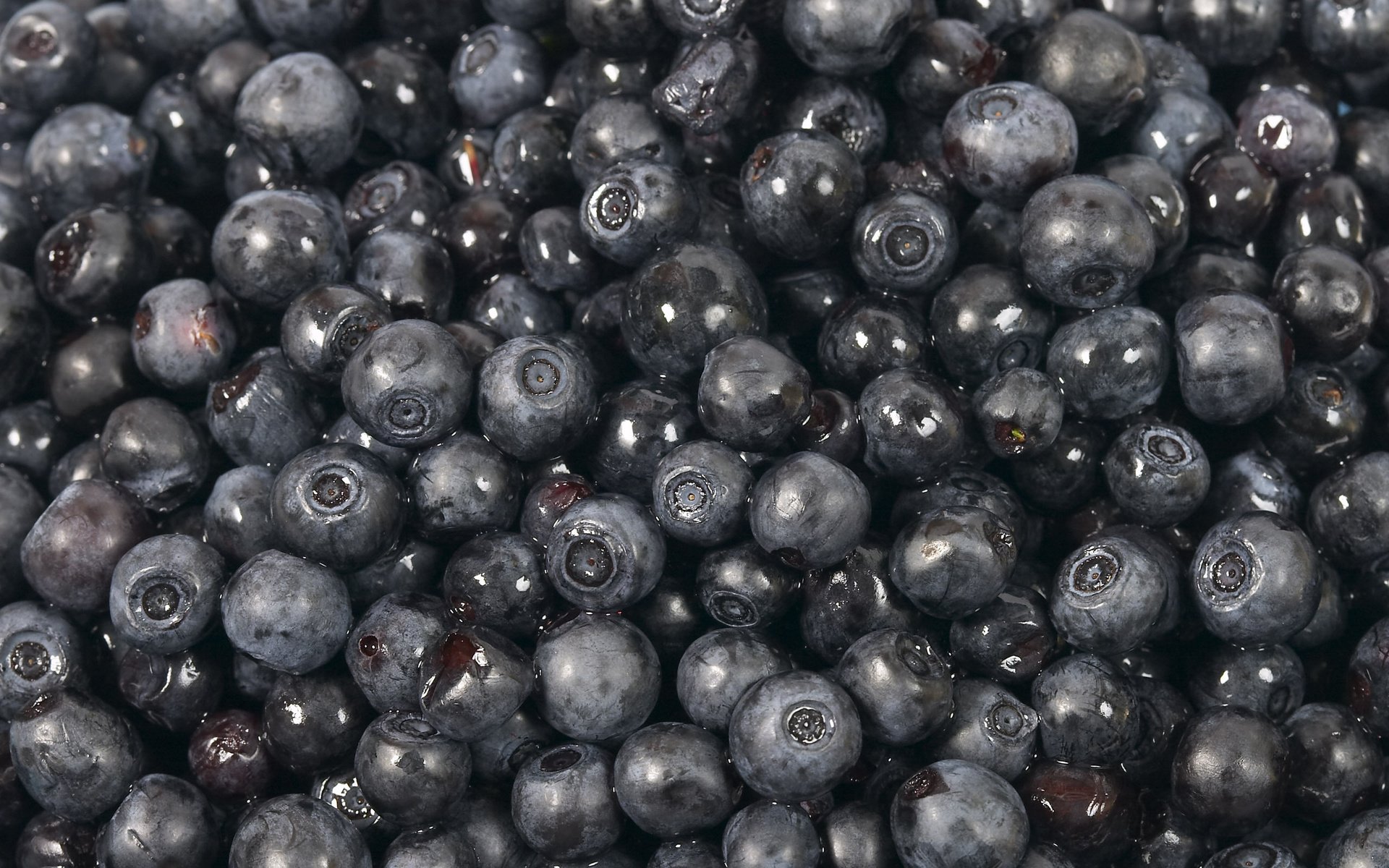 Обои черная, черника, сладкая, black, blueberries, sweet разрешение 2560x1600 Загрузить