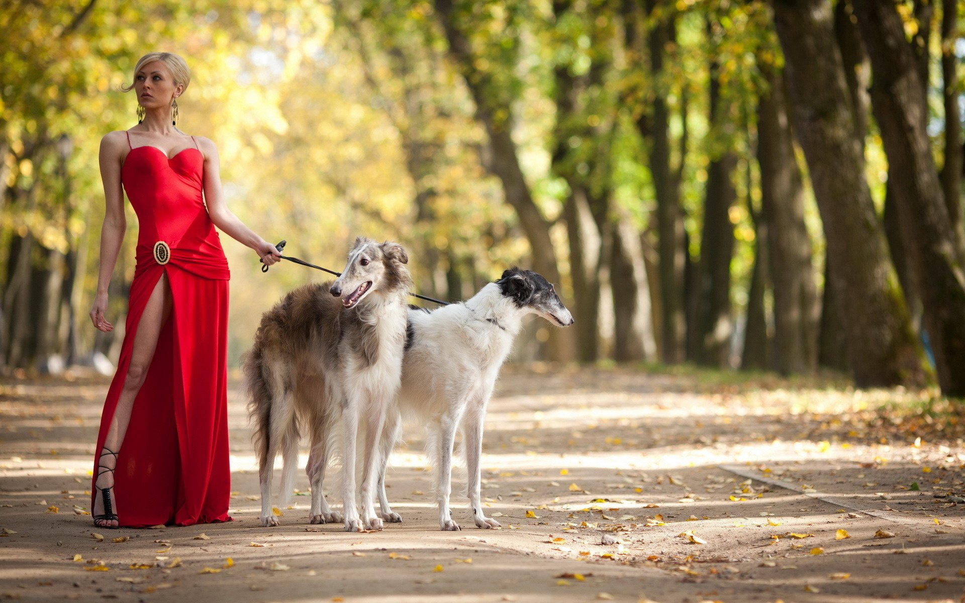 Обои девушка, русская борзая, парк, блондинка, красное платье, собаки, progulka, sobaka, борзая, русская псовая борзая, girl, russian greyhound, park, blonde, red dress, dogs, greyhound, russian borzoi разрешение 1920x1280 Загрузить