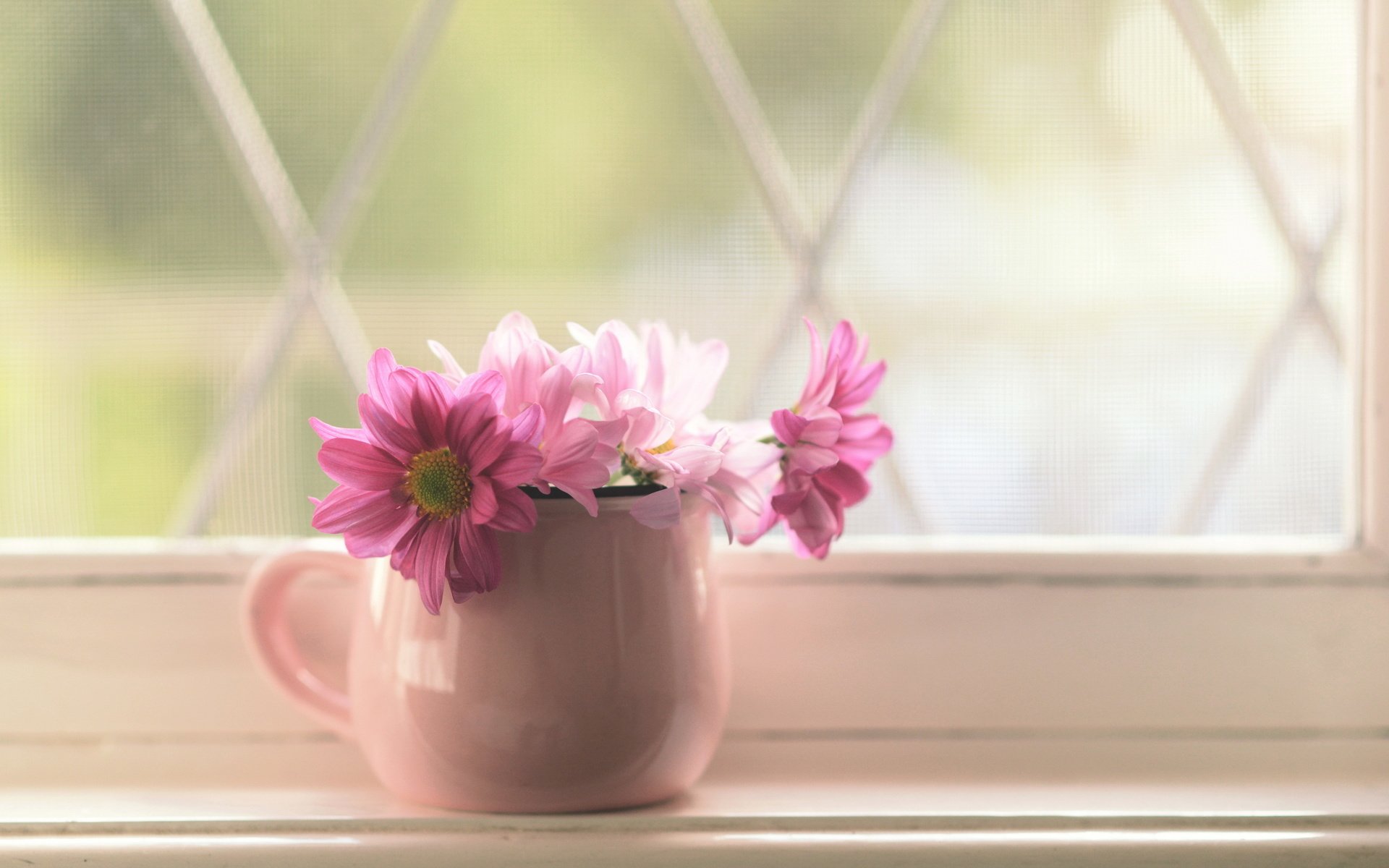 Обои цветы, лепестки, кружка, розовые, окно, букетик, подоконник, flowers, petals, mug, pink, window, a bunch, sill разрешение 2560x1600 Загрузить