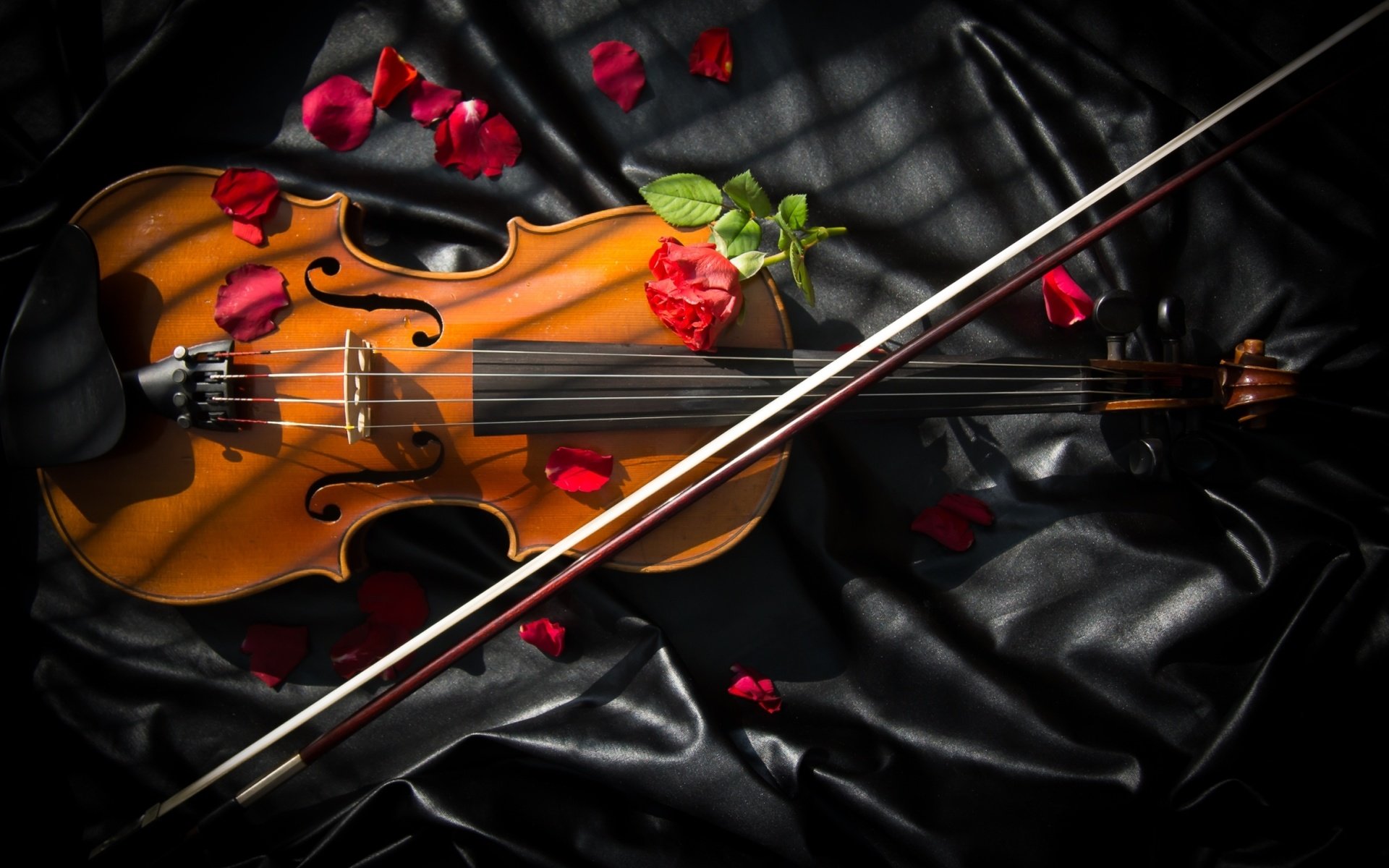 Обои розы, скрипка, смычок, roses, violin, bow разрешение 1980x1280 Загрузить