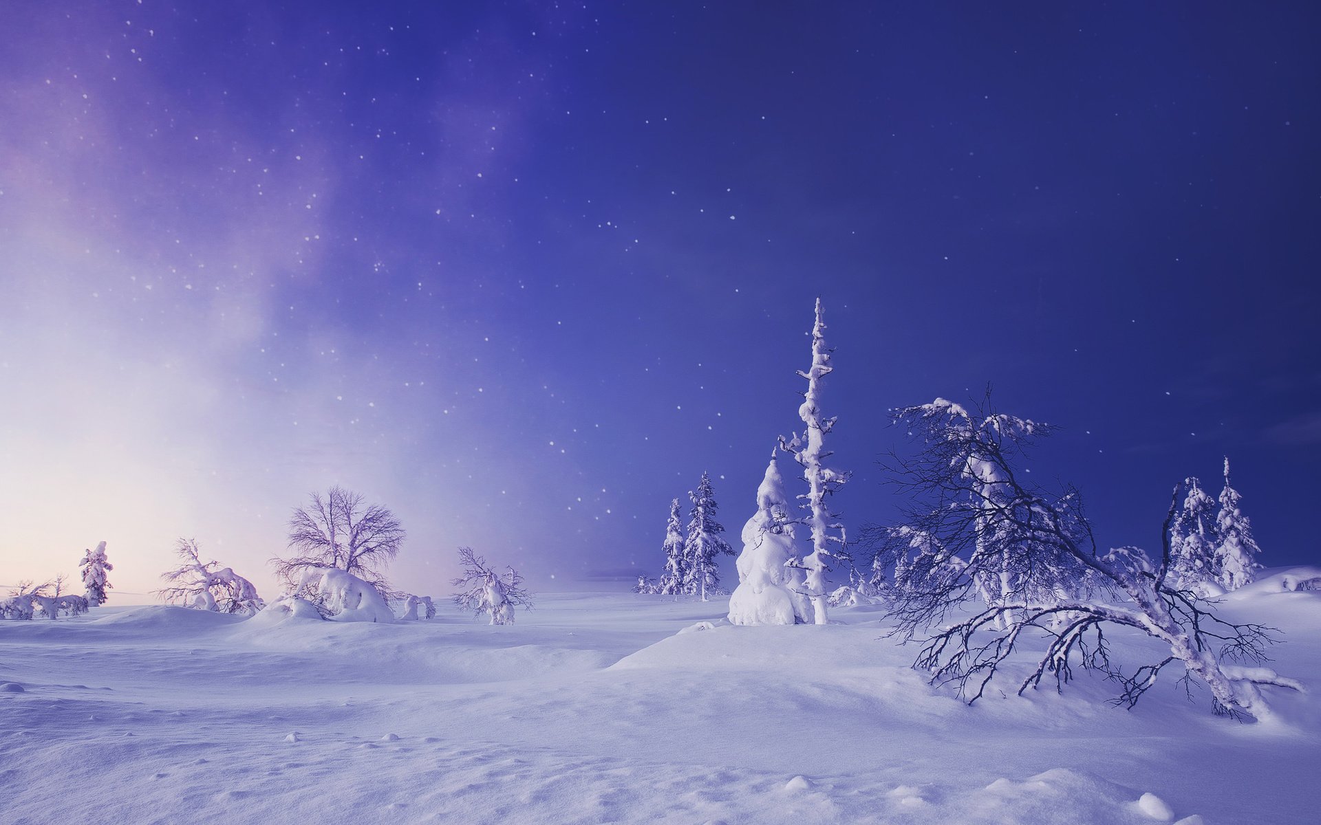 Обои деревья, снег, зима, звездное небо, сугробы, финляндия, лапландия, trees, snow, winter, starry sky, the snow, finland, lapland разрешение 2048x1367 Загрузить