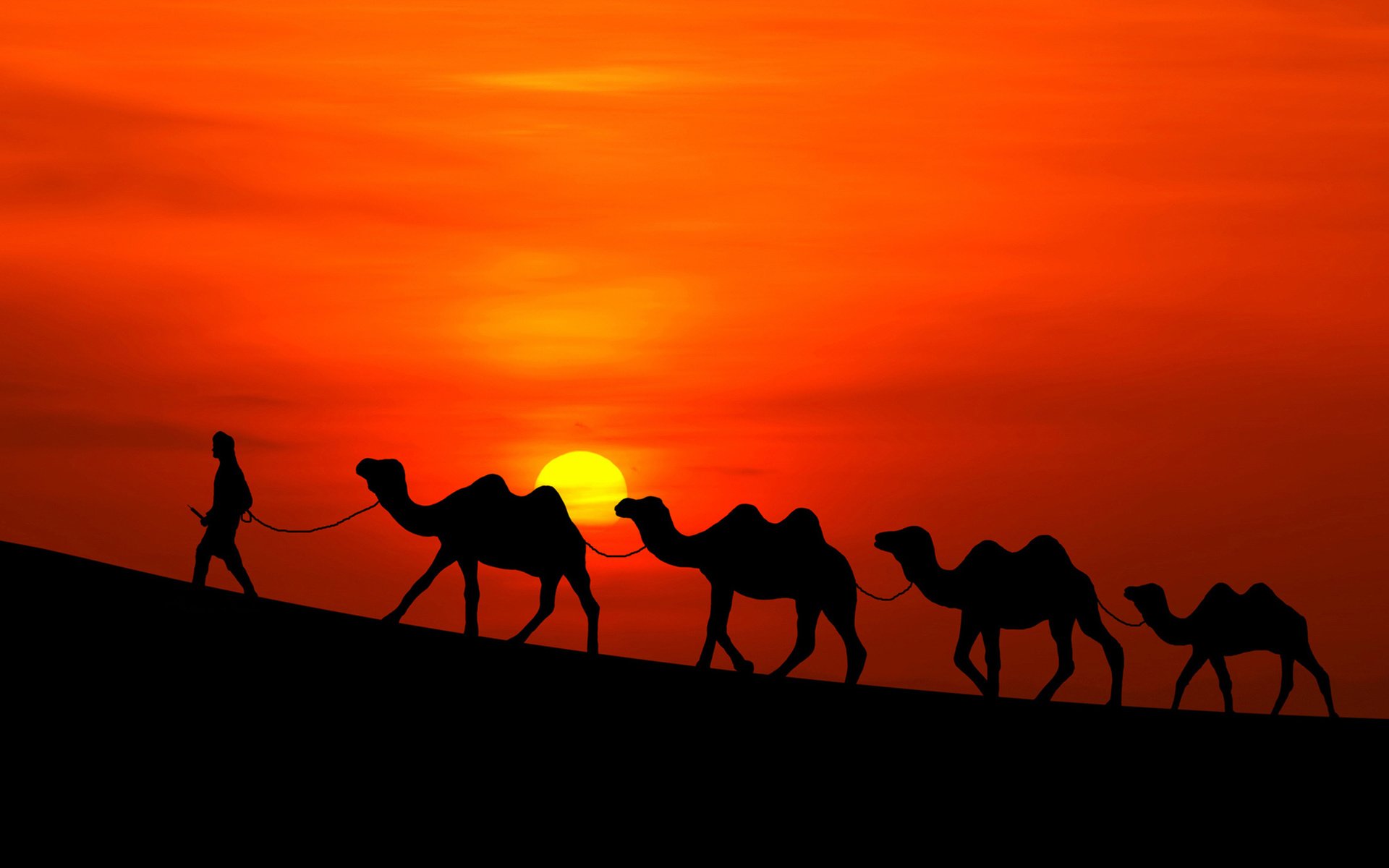 Обои солнце, закат, пустыня, человек, караван, верблюды, the sun, sunset, desert, people, caravan, camels разрешение 2160x1622 Загрузить