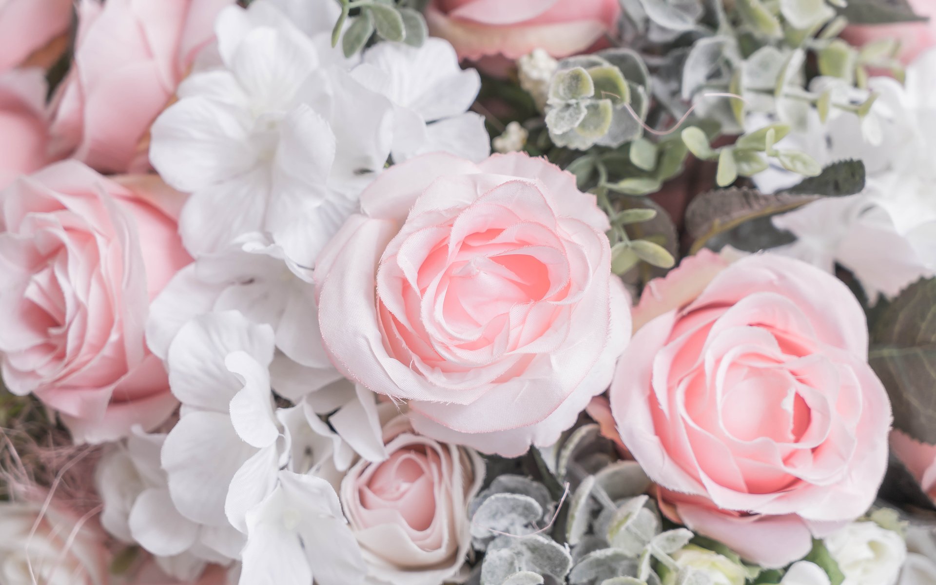 Обои цветы, бутоны, розы, лепестки, розовые, белые, flowers, buds, roses, petals, pink, white разрешение 6000x4002 Загрузить