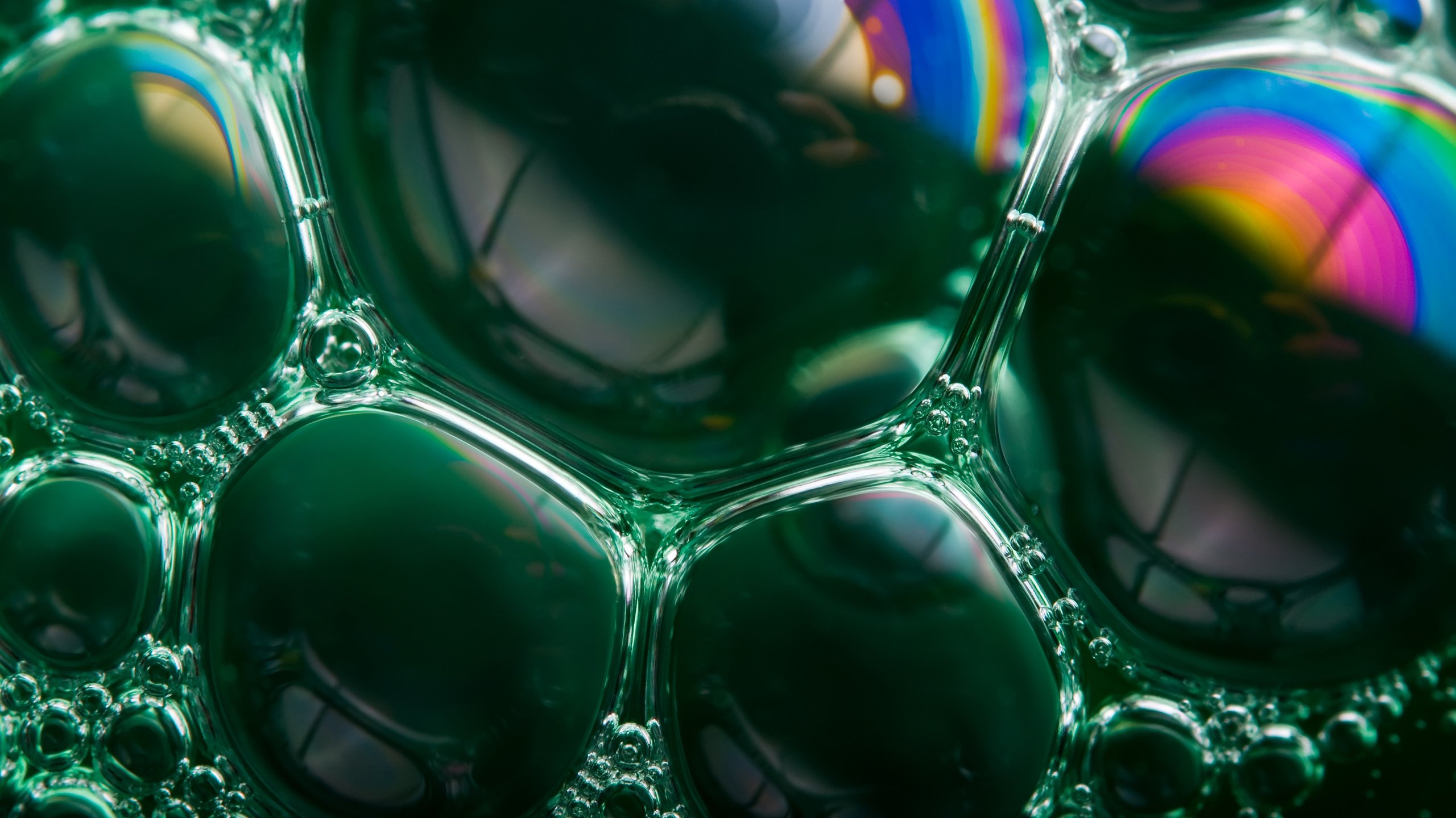Обои радуга, пузыри, мыльные пузыри, мыло, soap bubble rainbows, грин, rainbow, bubbles, soap, green разрешение 2560x1600 Загрузить