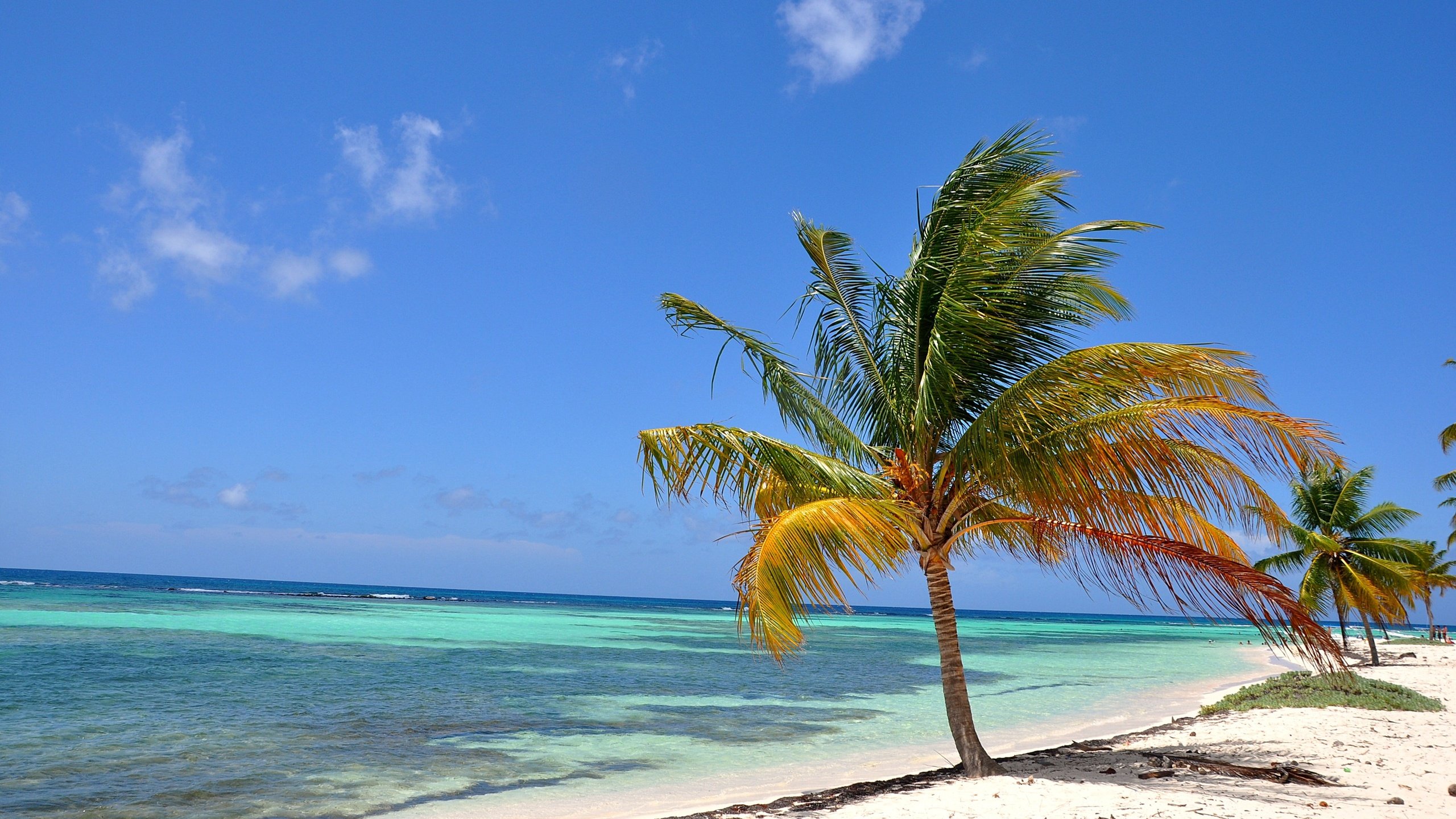 Обои пляж, тропики, мальдивы, beach, tropics, the maldives разрешение 2805x1863 Загрузить