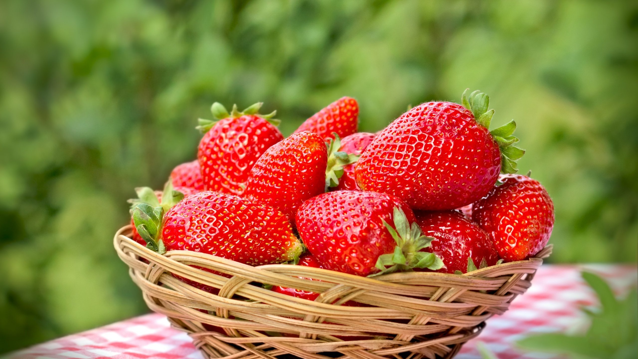 Обои клубника, красные, спелая, ягоды, лесные ягоды, корзинка, парное, strawberry, red, ripe, berries, basket, fresh разрешение 2880x1800 Загрузить