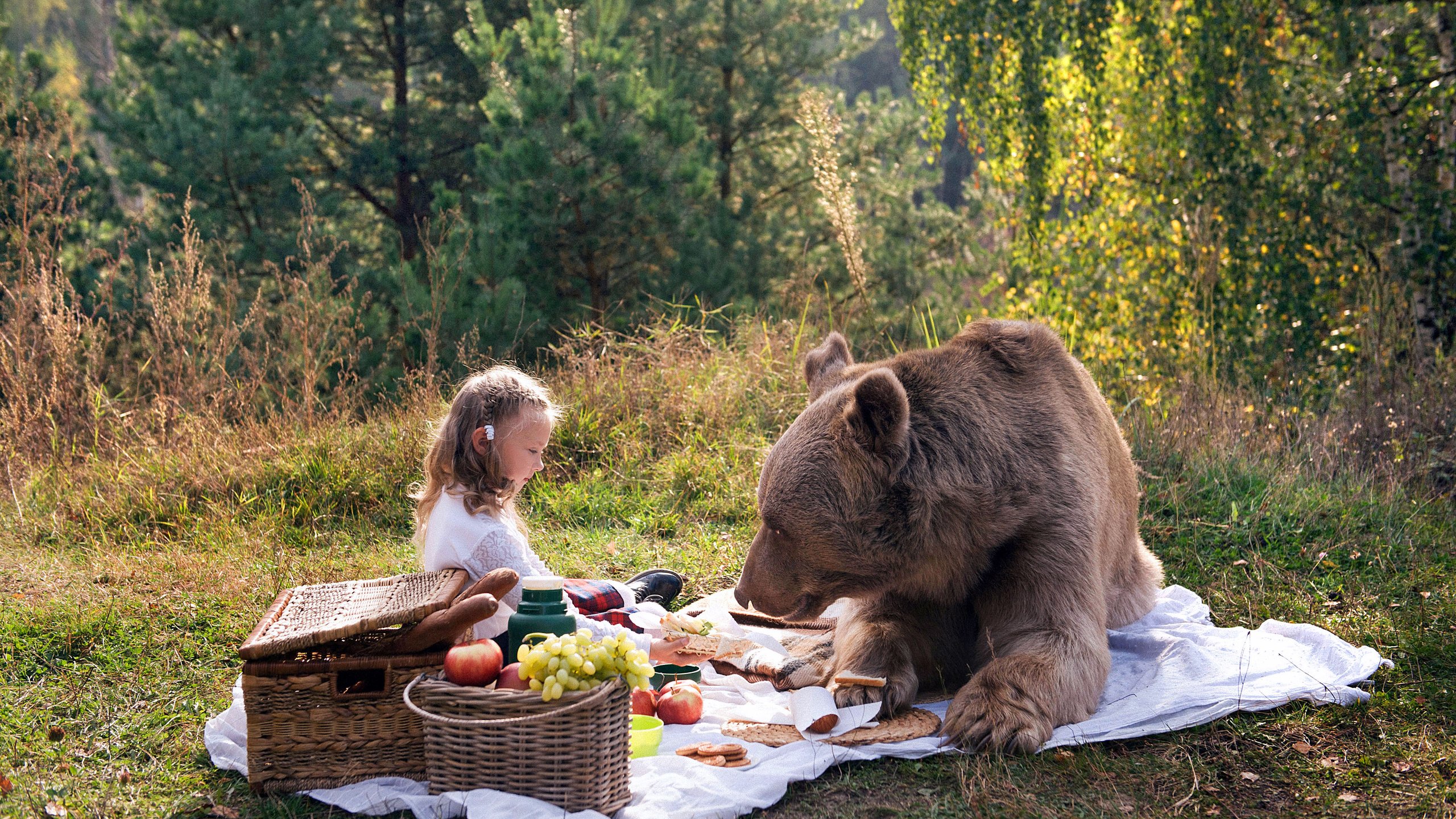 Обои природа, медведь, девочка, пикник, маша и медведь, nature, bear, girl, picnic, masha and the bear разрешение 4252x2835 Загрузить