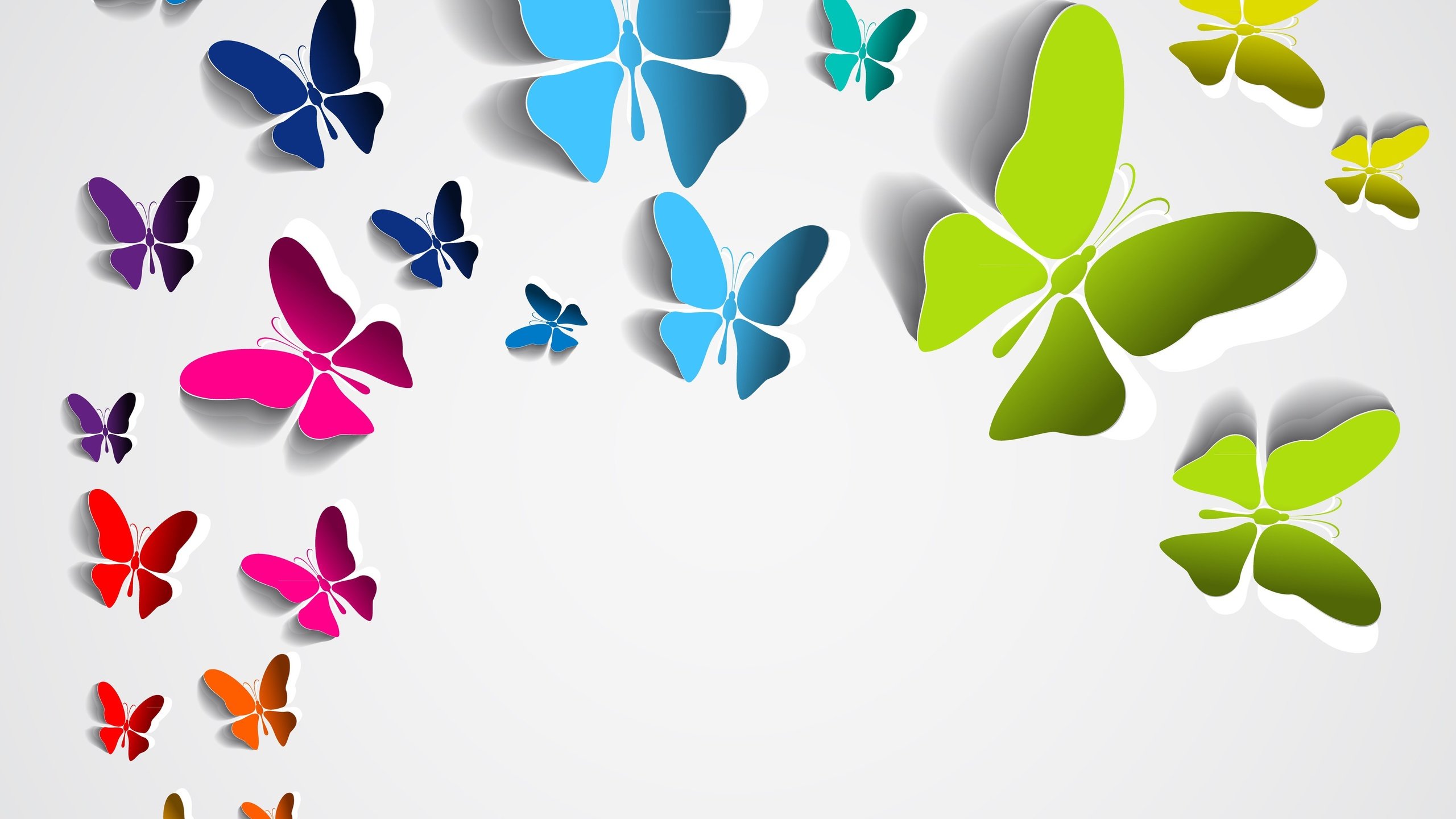 Обои фон, бабочки, цветные, background, butterfly, colored разрешение 5482x4423 Загрузить