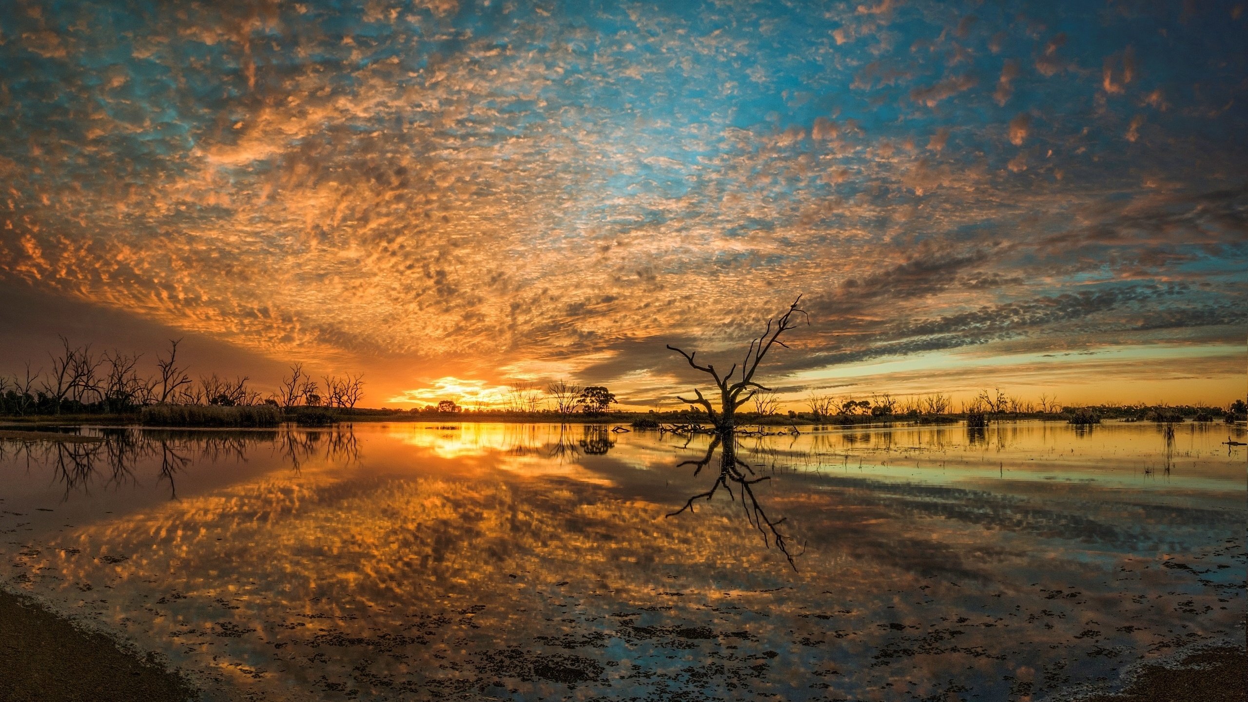 Обои деревья, река, природа, закат, пейзаж, ветки, горизонт, trees, river, nature, sunset, landscape, branches, horizon разрешение 2560x1790 Загрузить