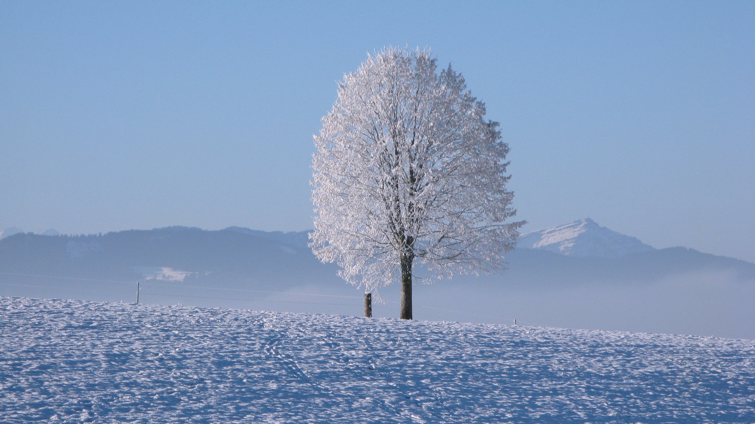 Обои горы, снег, дерево, зима, горизонт, холодно, mountains, snow, tree, winter, horizon, cold разрешение 3840x2400 Загрузить