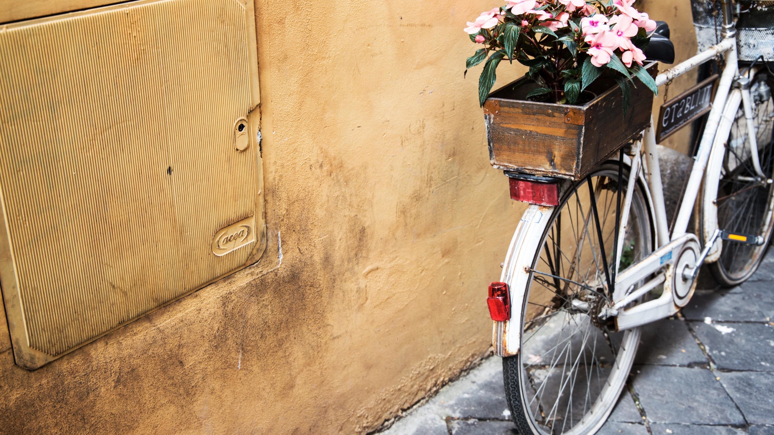 Обои цветы, велосипед, ящик, flowers, bike, box разрешение 5472x3648 Загрузить