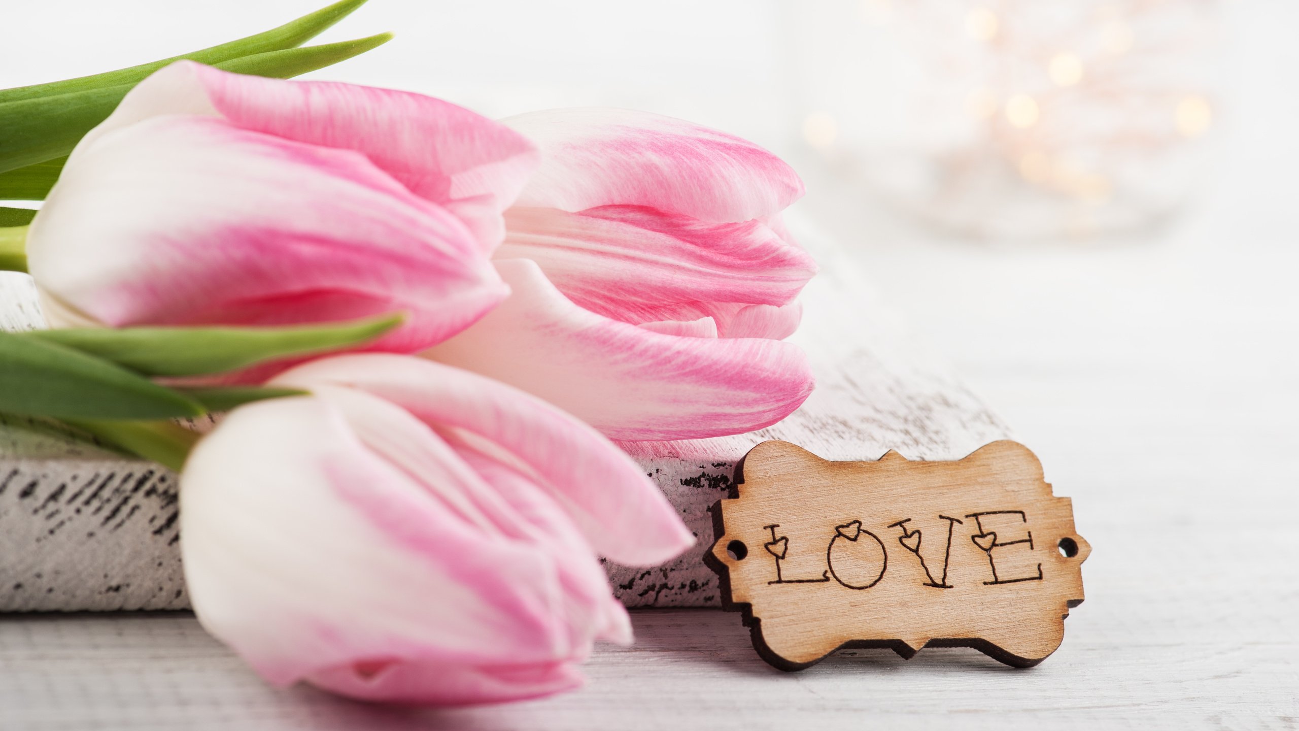 Обои цветы, надпись, любовь, тюльпаны, розовые, irina bort, flowers, the inscription, love, tulips, pink разрешение 4256x2832 Загрузить