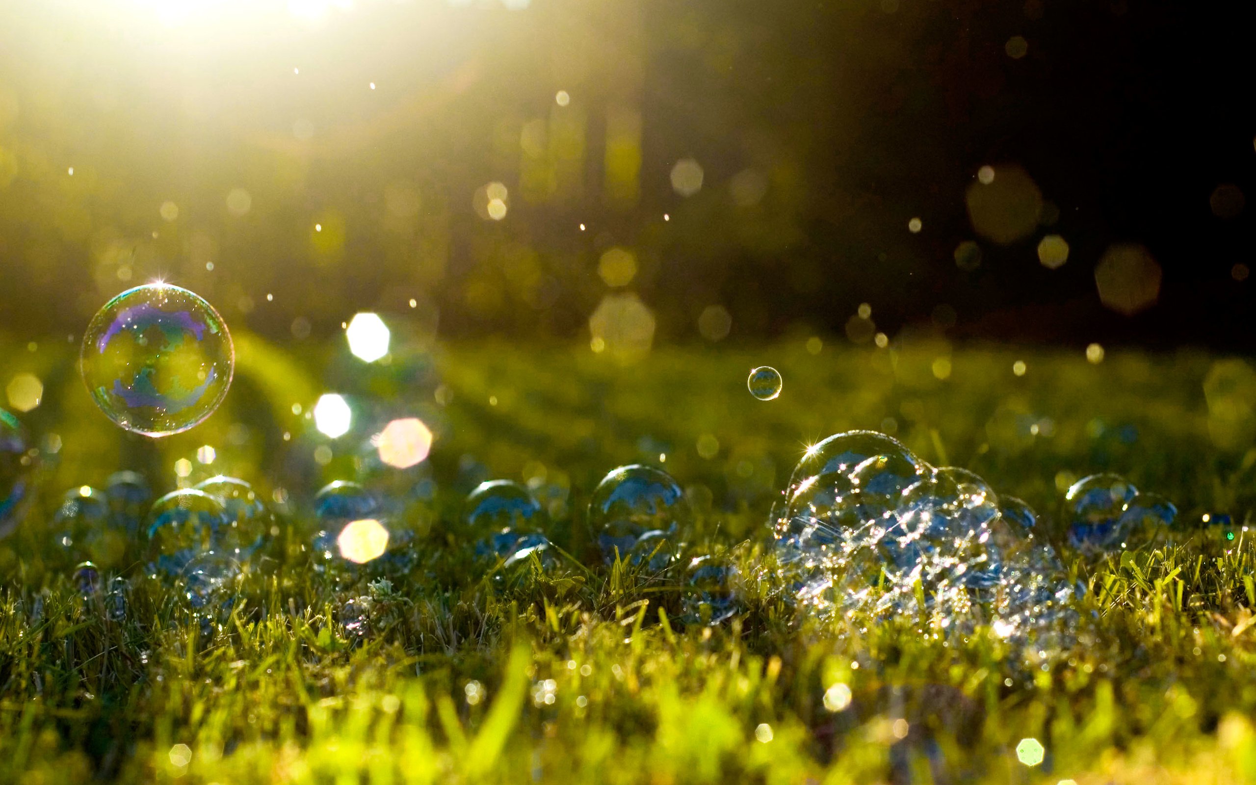 Обои трава, макро, блики, мыльные пузыри, солнечный свет, grass, macro, glare, bubbles, sunlight разрешение 2880x1800 Загрузить