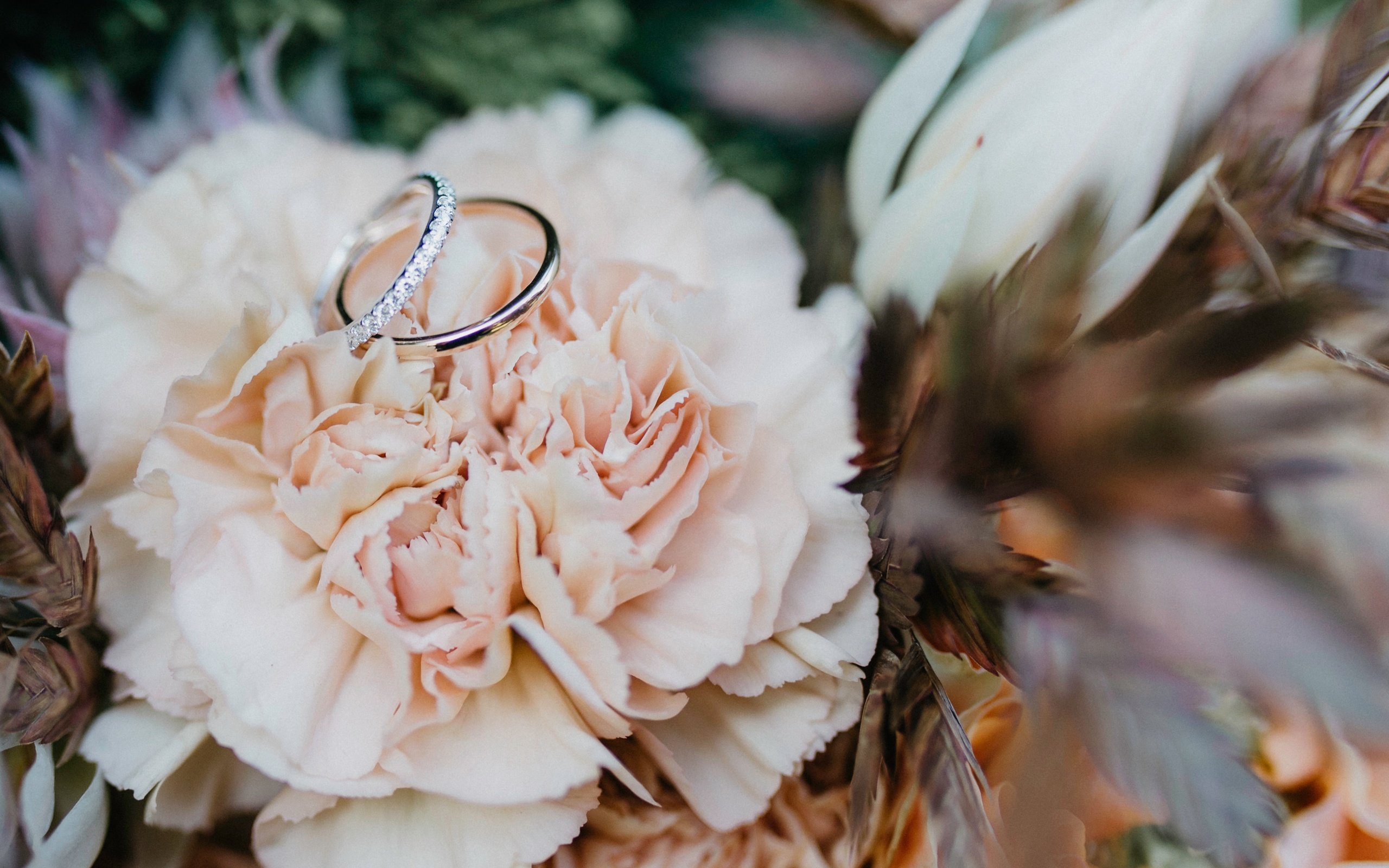 Обои цветок, кольцо, свадьба, обручальные кольца, боке, flower, ring, wedding, engagement rings, bokeh разрешение 4850x2728 Загрузить