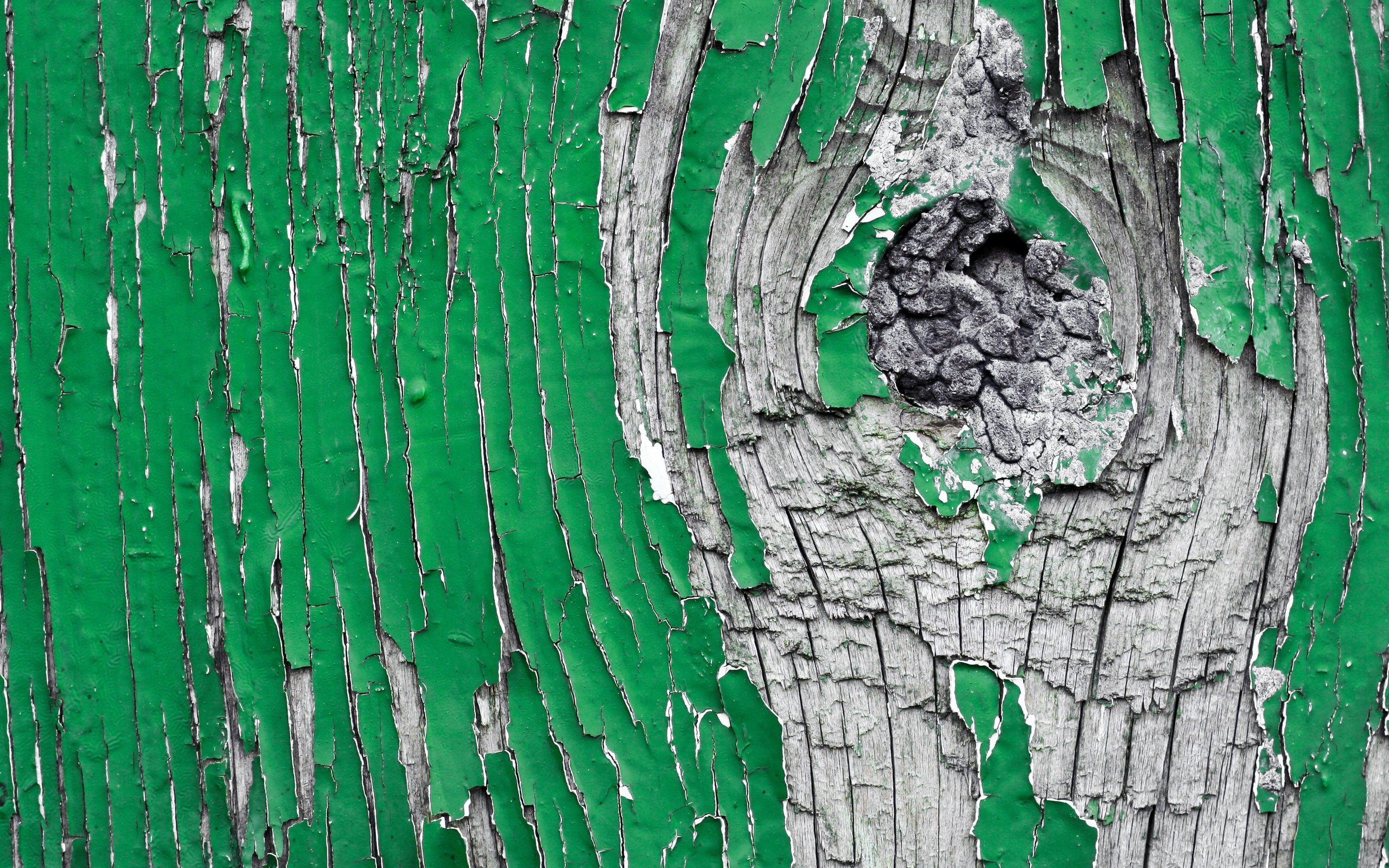 Обои дерево, текстура, зелёный, краска, деревянная поверхность, облупившаяся краска, tree, texture, green, paint, wooden surface разрешение 3456x2304 Загрузить