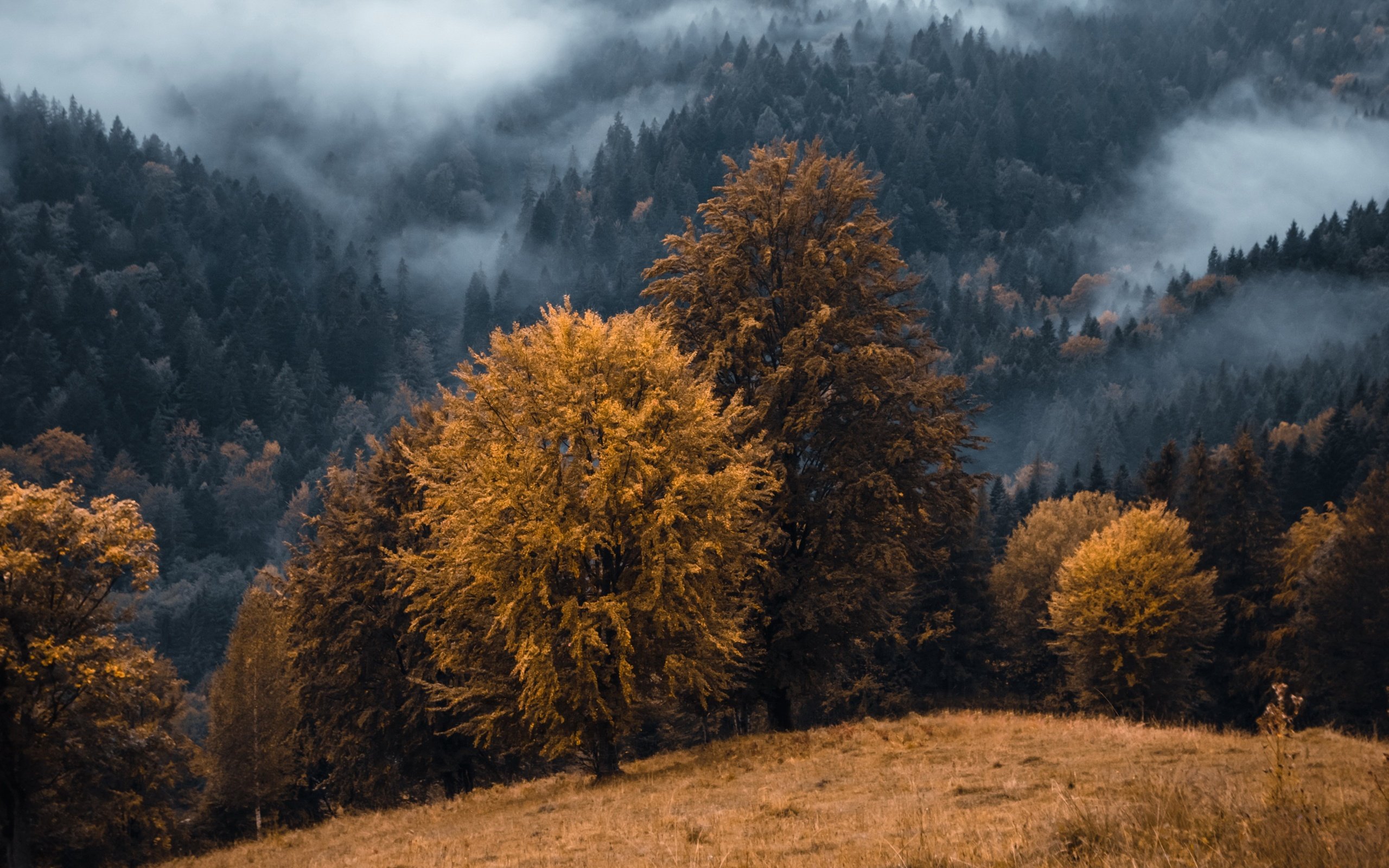 Обои горы, туман, осень, mountains, fog, autumn разрешение 3840x2160 Загрузить