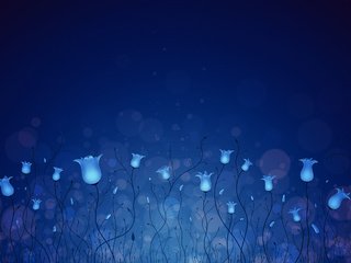 Обои цветы, синий, колокольчики, flowers, blue, bells разрешение 2560x1600 Загрузить