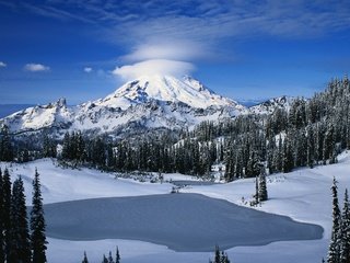 Обои небо, облака, деревья, горы, снег, лес, the sky, clouds, trees, mountains, snow, forest разрешение 2560x1600 Загрузить