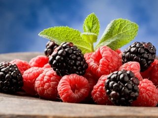 Обои малина, ягоды, ежевика, raspberry, berries, blackberry разрешение 1920x1200 Загрузить