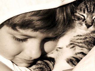 Обои кот, кошка, котенок, дети, девочка, ребенок, объятия, devochka, obyatiya, ккотенок, kotenok, cat, kitty, children, girl, child, hugs разрешение 2560x1600 Загрузить
