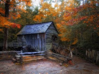 Обои лес, осень, мельница, дом, водяная мельница, forest, autumn, mill, house, water mill разрешение 2048x1367 Загрузить