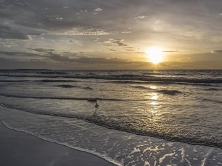 Обои облака, восход, солнце, пейзаж, море, ландшафт, на природе, clouds, sunrise, the sun, landscape, sea, nature разрешение 4000x2394 Загрузить